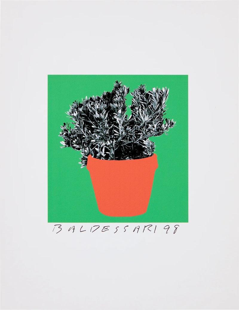 8 Plants x 6 = 48: one plate (H. 96), 1998 (Unique) by John Baldessari
