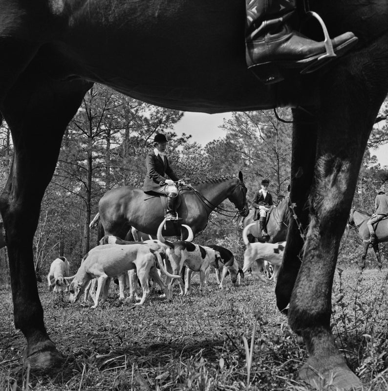 Fox Hunt (Palm Beach), 1955 by Slim Aarons
