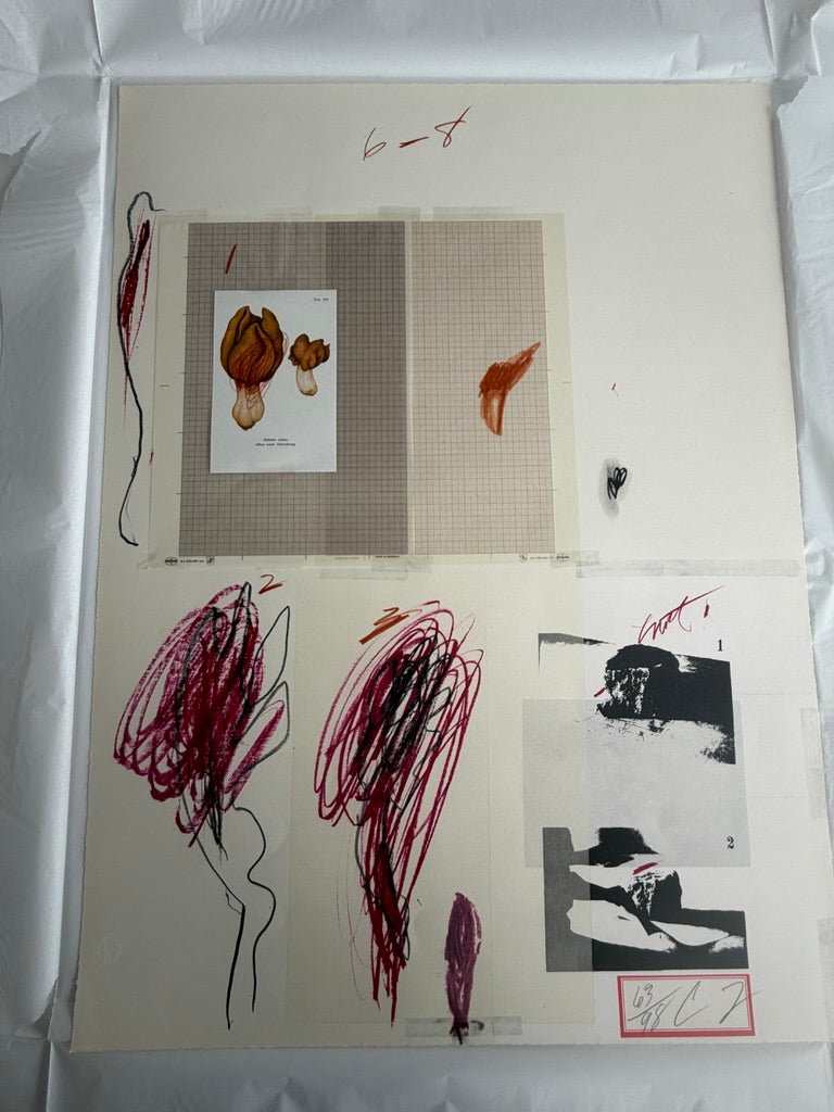 Plate IX, from Natural History Part I: Mushrooms, 1974 by Cy Twombly
