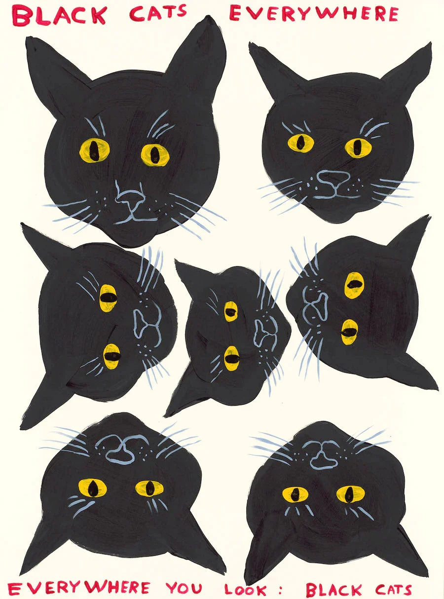 Black Cats Everywhere, 2021 by David Shrigley