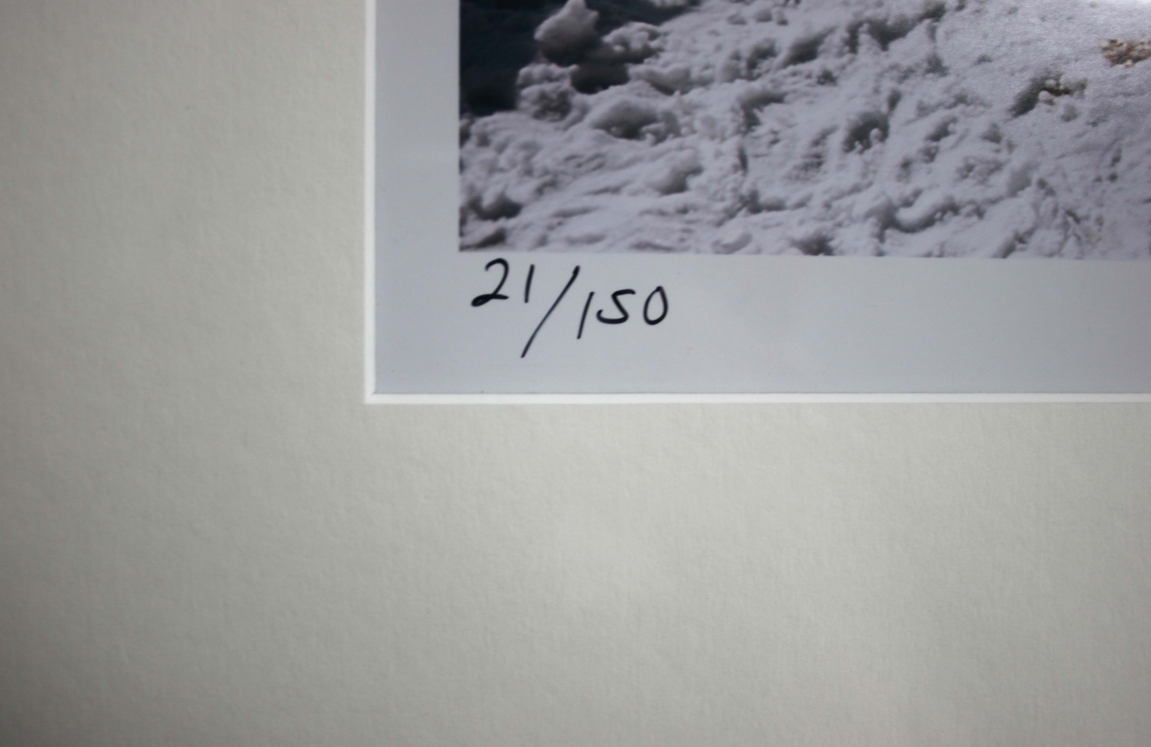 Pool On Amalfi Coast, 1984 by Slim Aarons