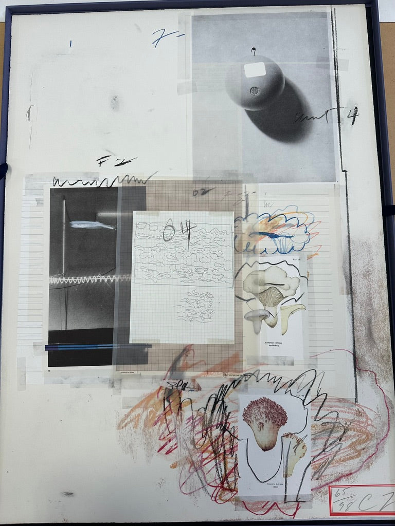 Plate VIII, from Natural History Part I: Mushrooms, 1974 by Cy Twombly