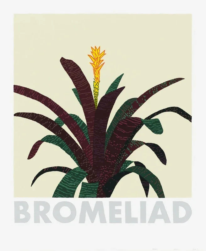 Bromeliad, 2020 by Jonas Wood