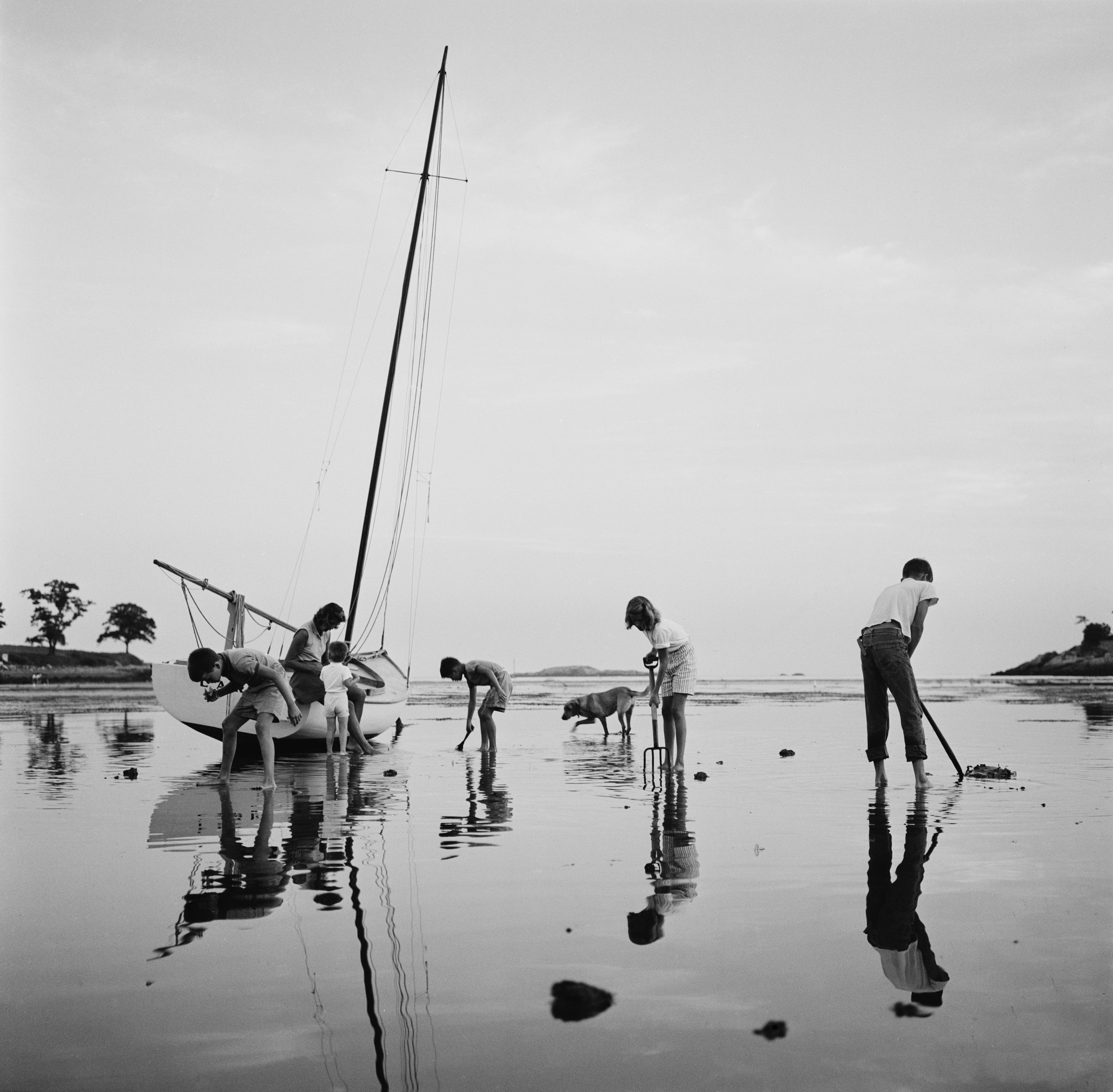 Digging For Clams (Massachusetts Bay), 1959 by Slim Aarons
