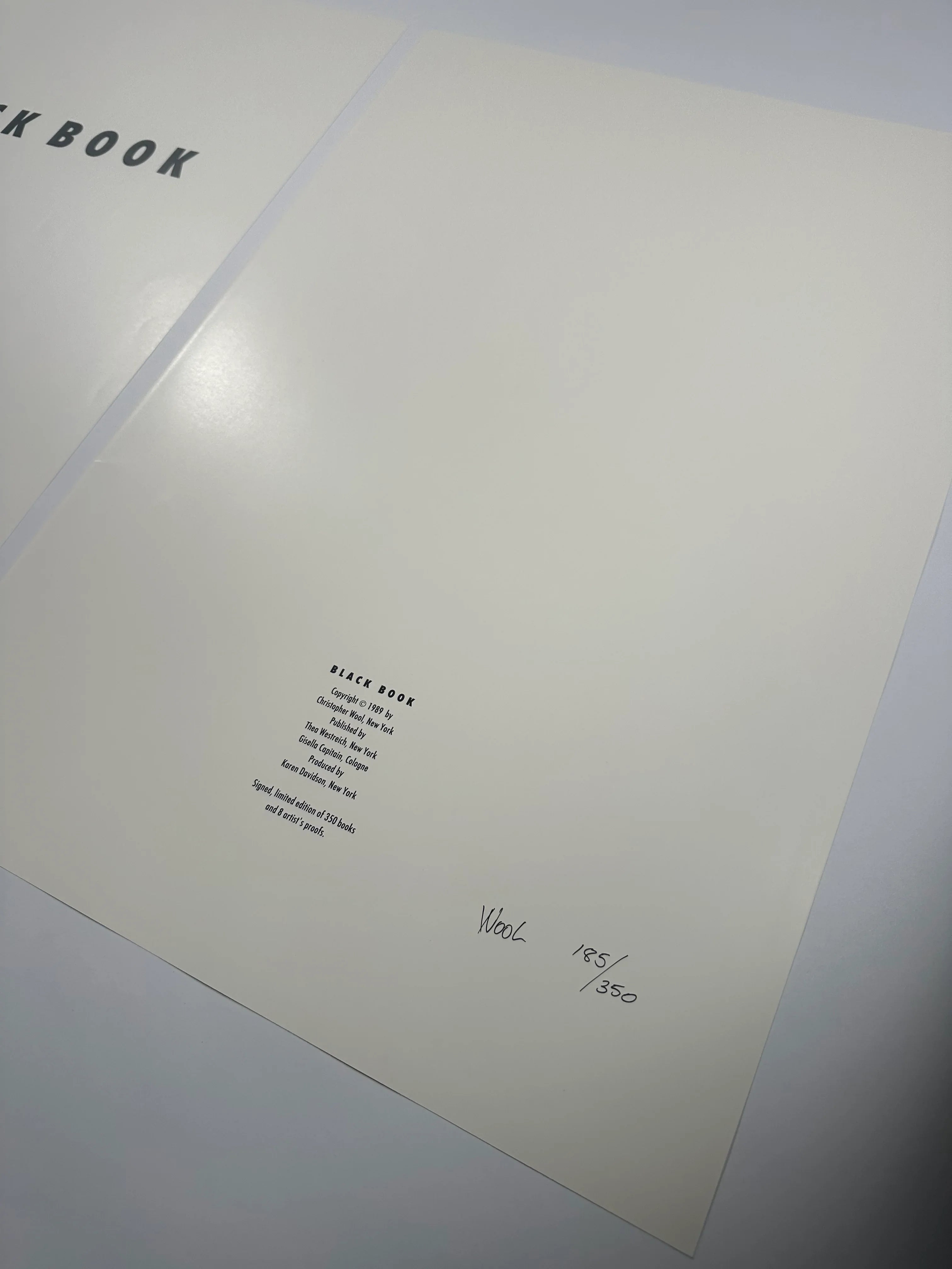 Chameleon (page from Black Book), 1989 by Christopher Wool