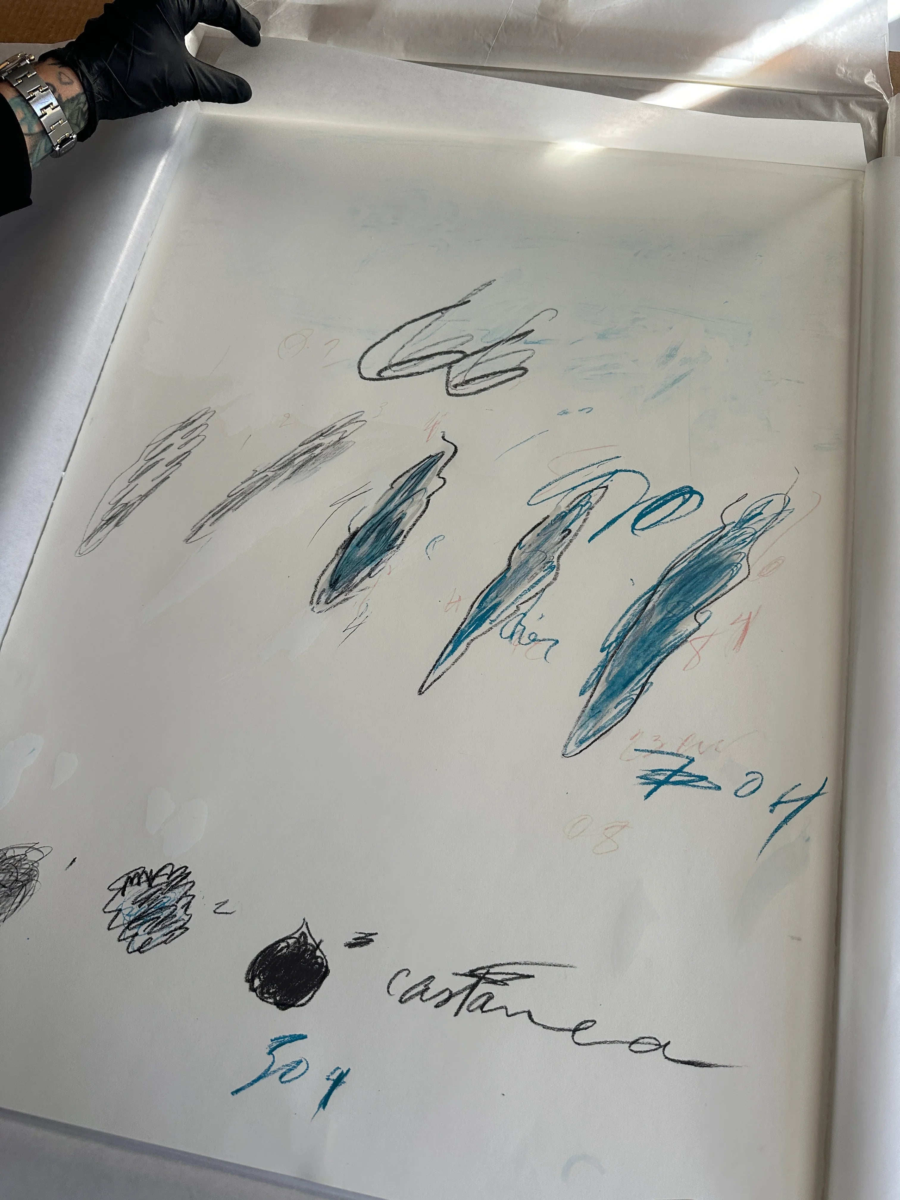 Castanea Sativa, from Natural History Part II: Some Trees of Italy, 1976 by Cy Twombly