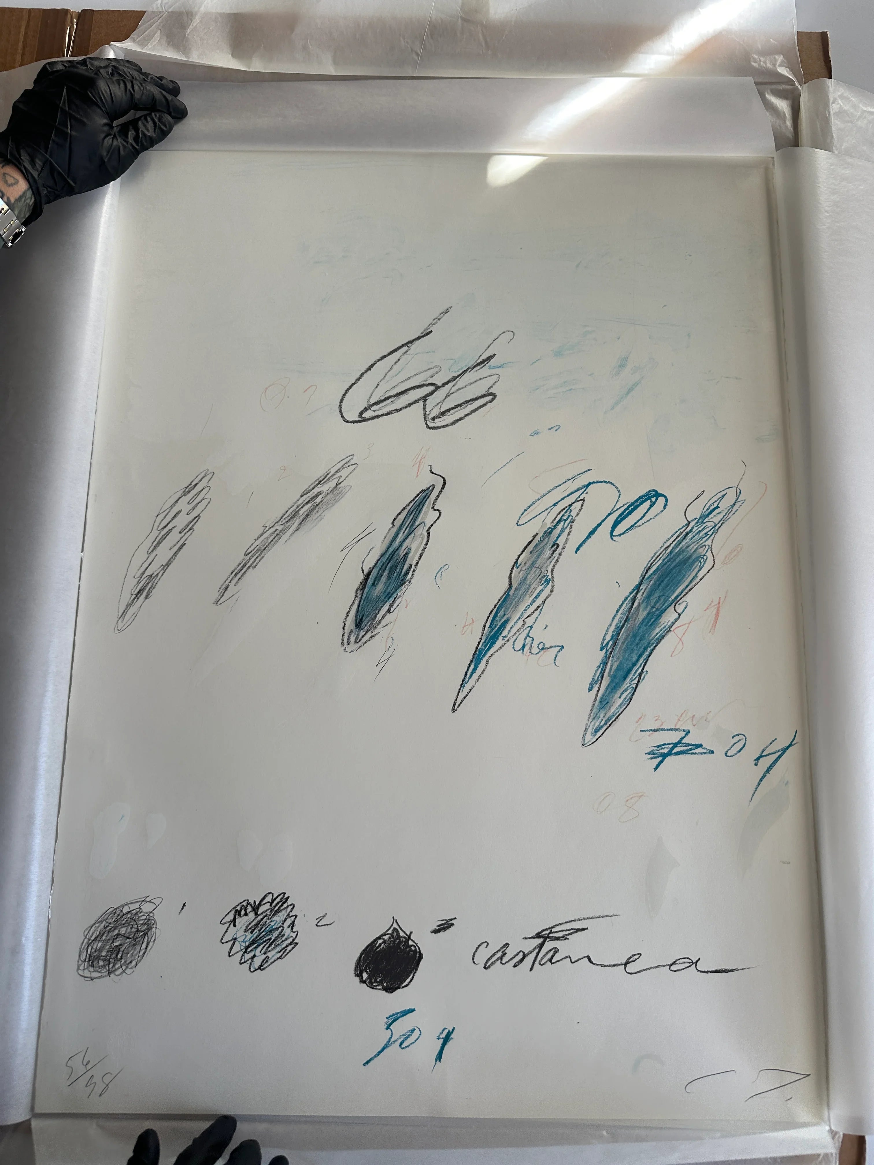 Castanea Sativa, from Natural History Part II: Some Trees of Italy, 1976 by Cy Twombly