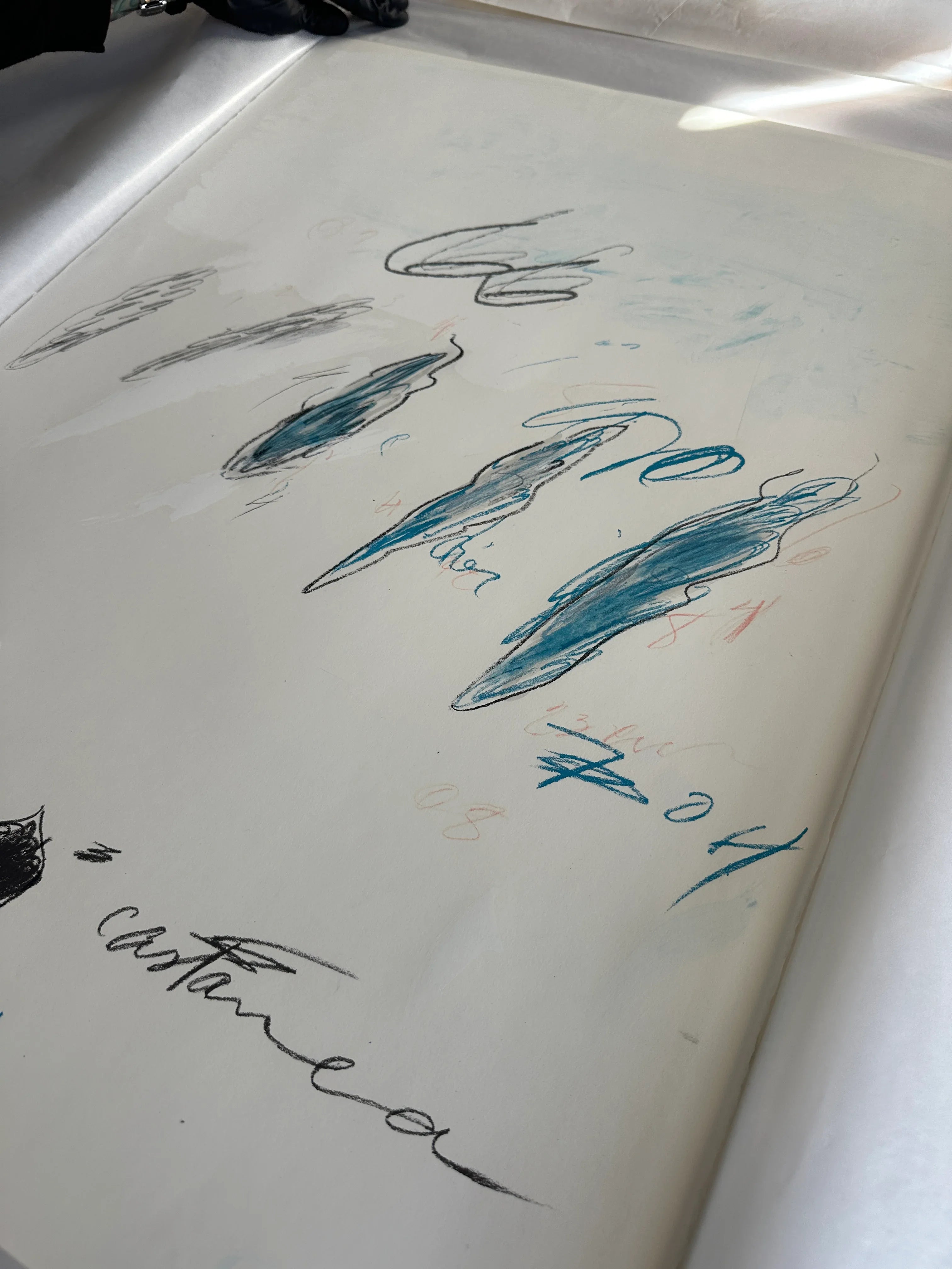 Castanea Sativa, from Natural History Part II: Some Trees of Italy, 1976 by Cy Twombly