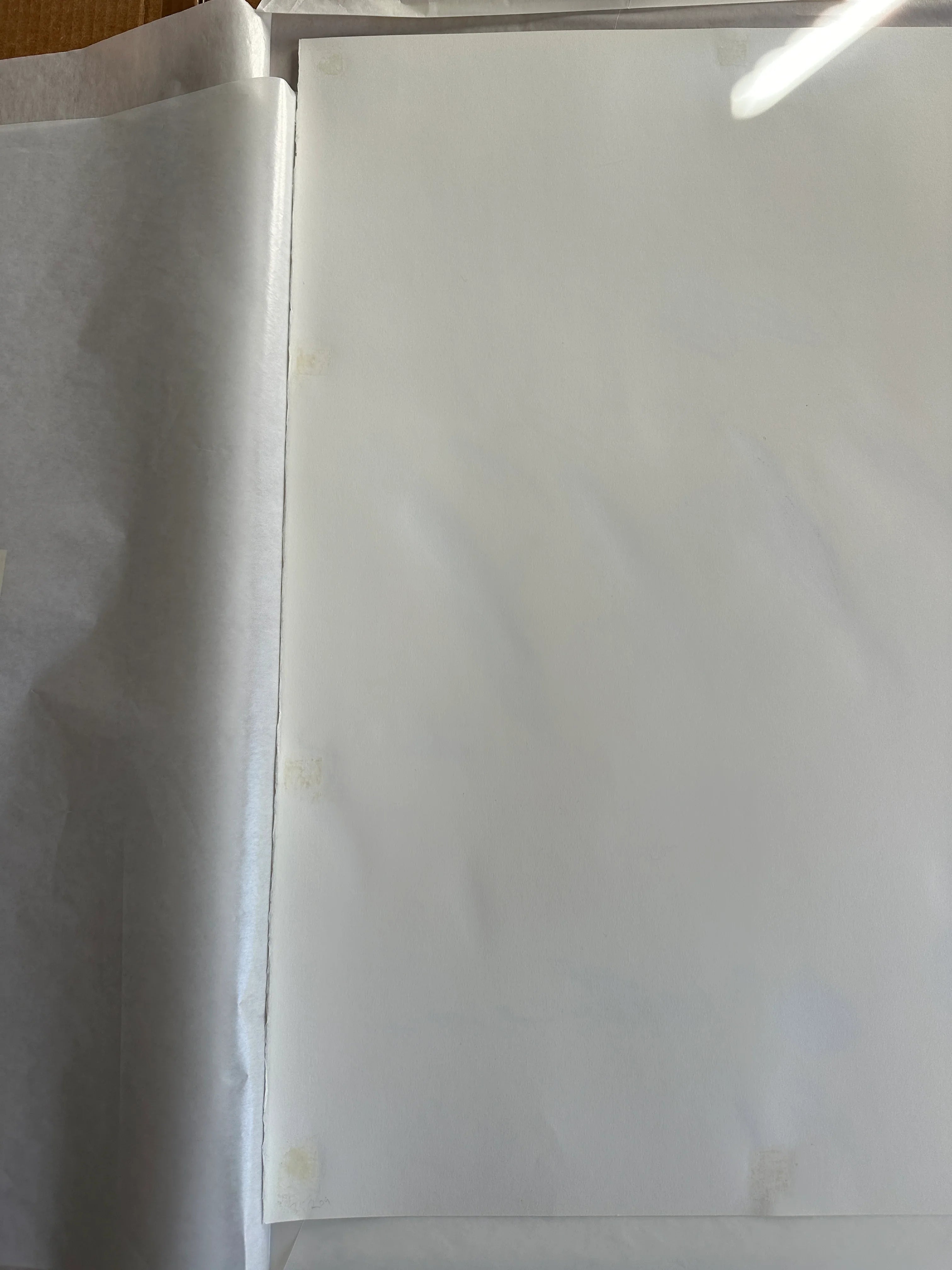 Castanea Sativa, from Natural History Part II: Some Trees of Italy, 1976 by Cy Twombly