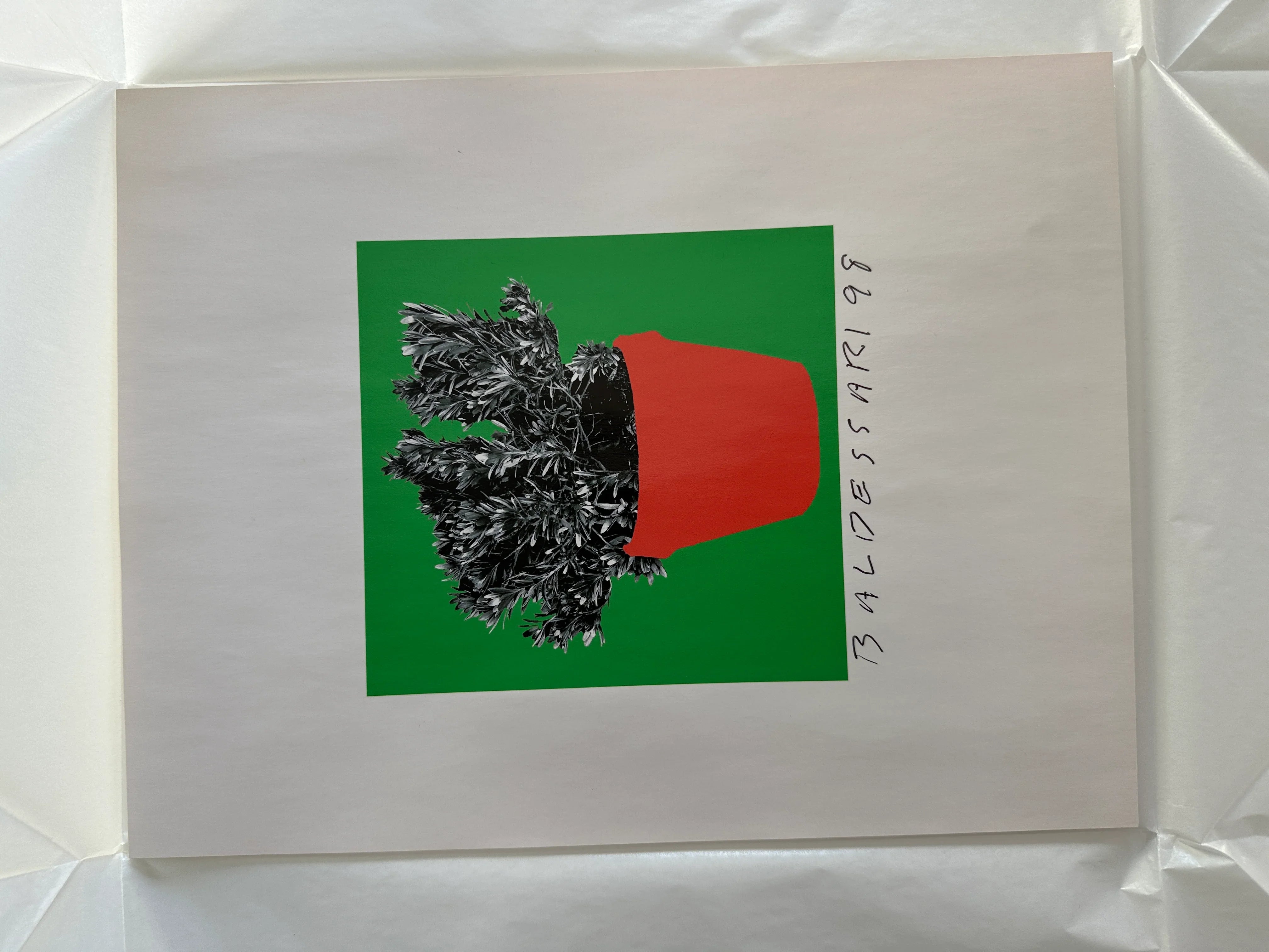 8 Plants x 6 = 48: one plate (H. 96), 1998 (Unique) by John Baldessari