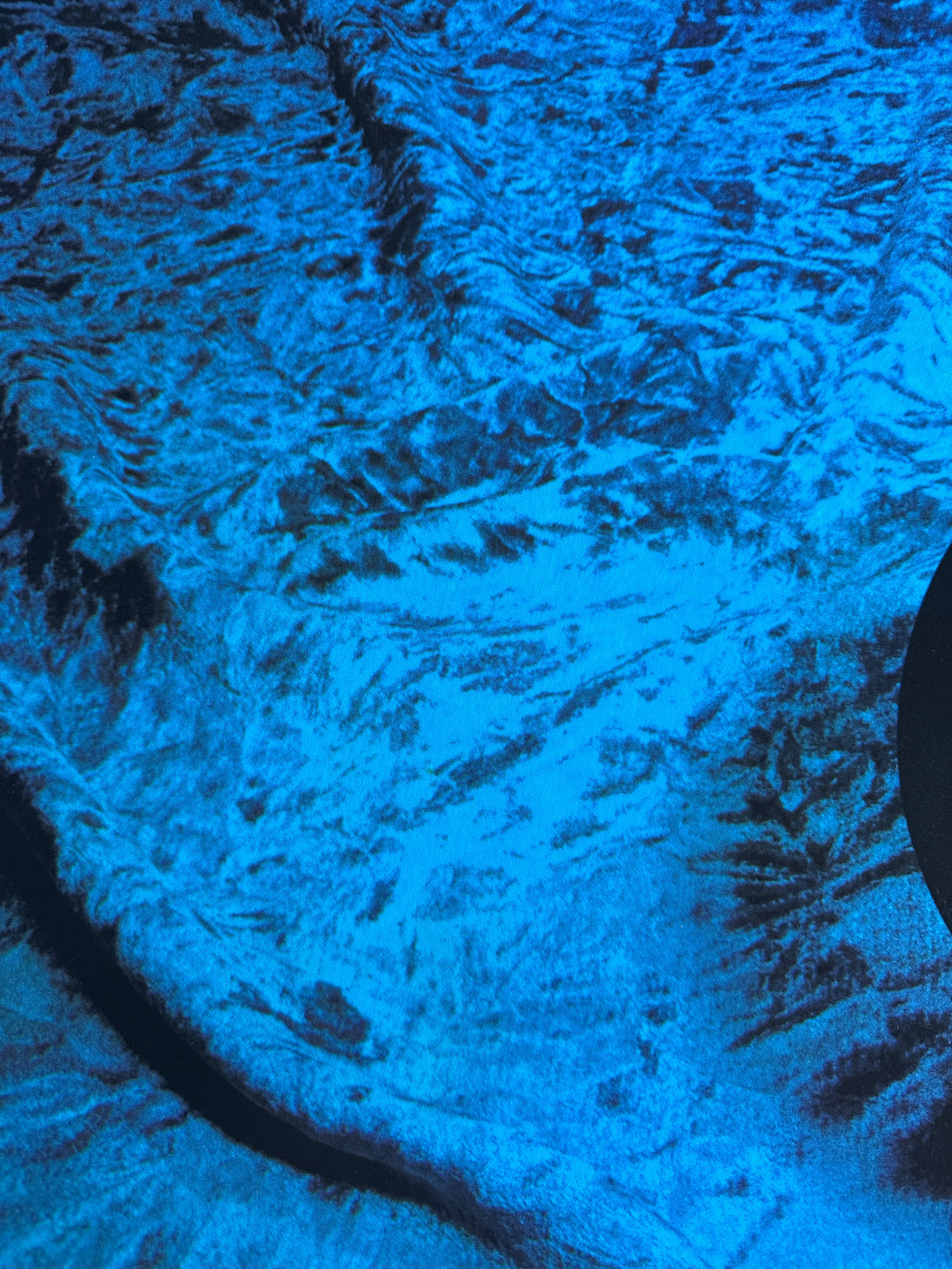 Tropical Fish Series, 1974-75 by Ed Ruscha