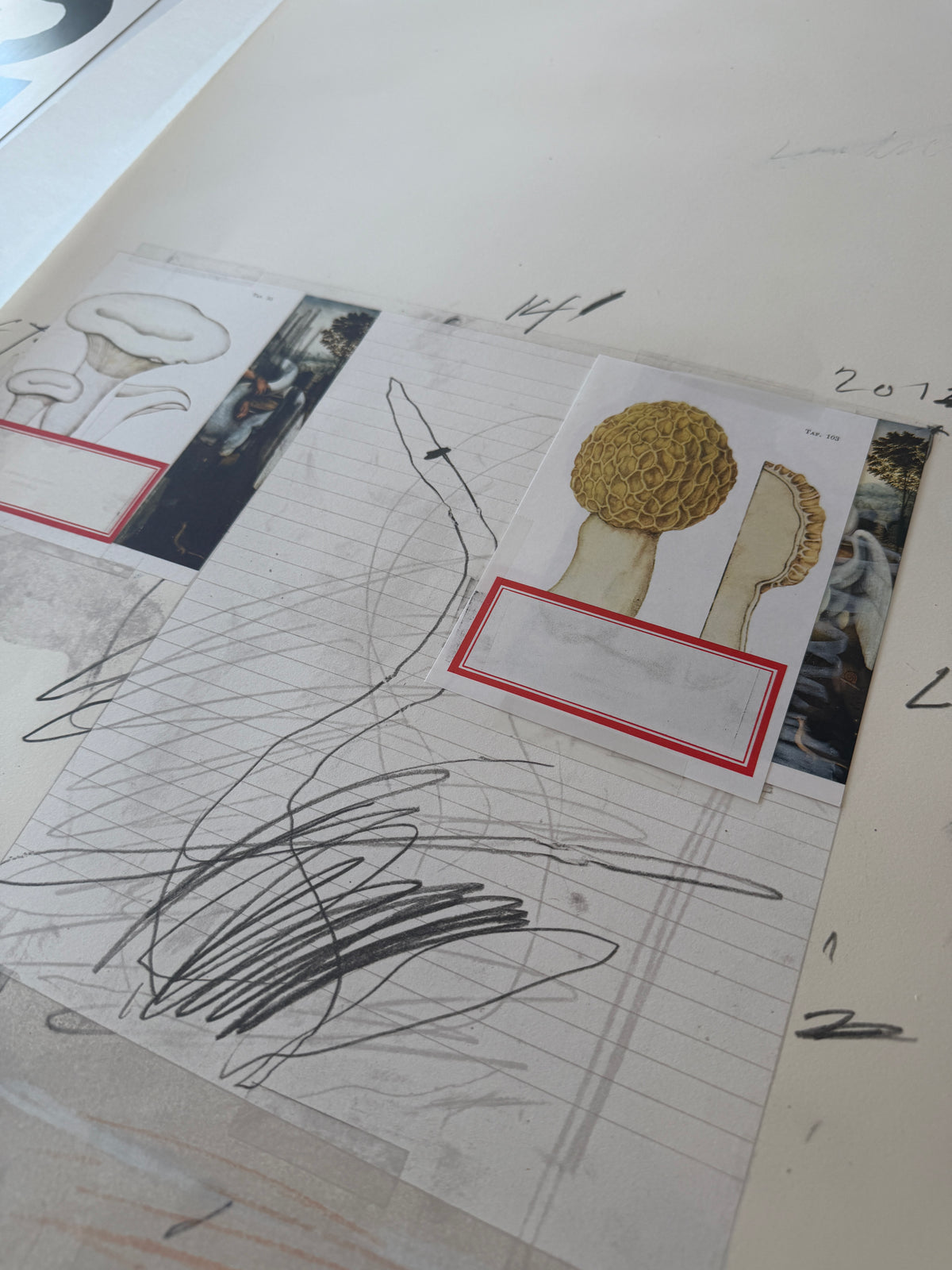Plate I, from Natural History Part I: Mushrooms, 1974 by Cy Twombly