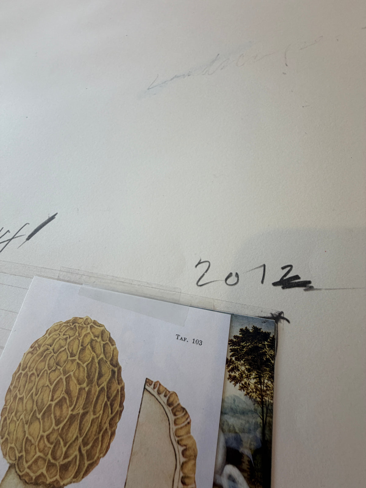 Plate I, from Natural History Part I: Mushrooms, 1974 by Cy Twombly