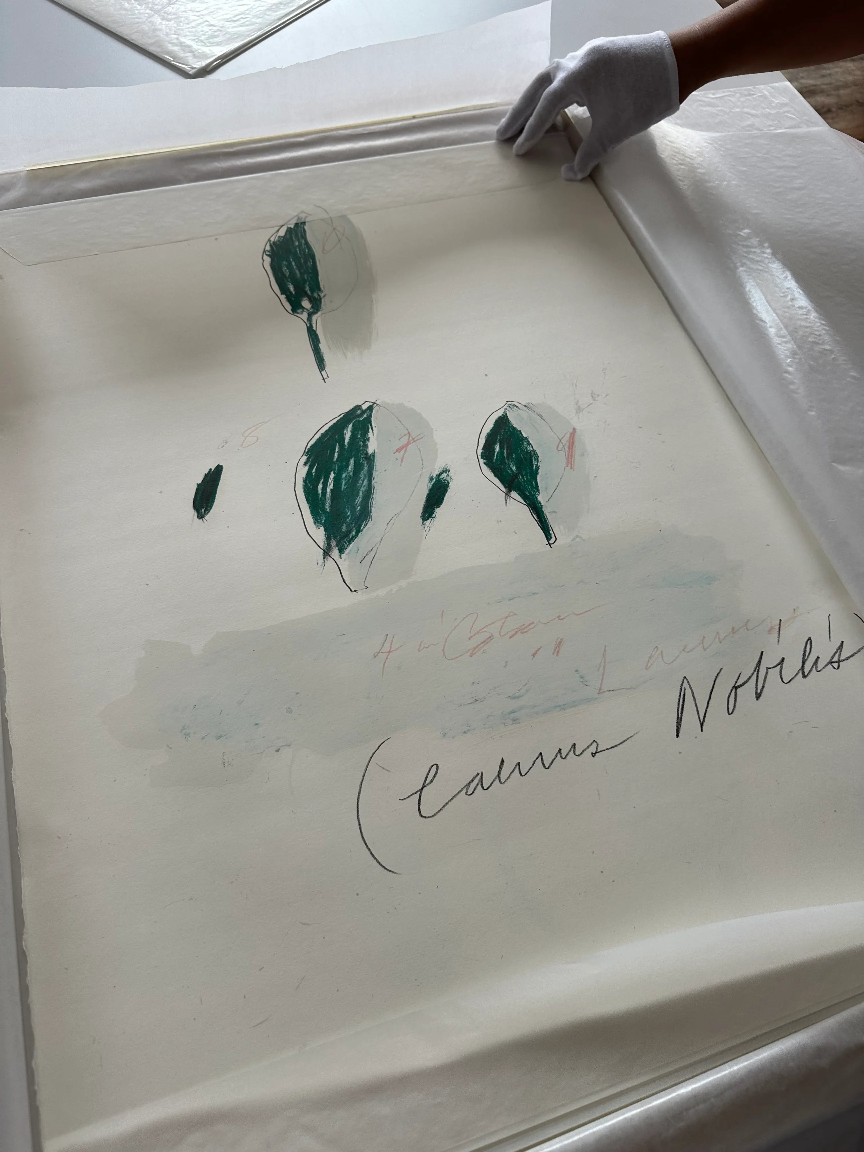 Laurus Nobilis, from Natural History Part II: Some Trees of Italy, 1976 by Cy Twombly