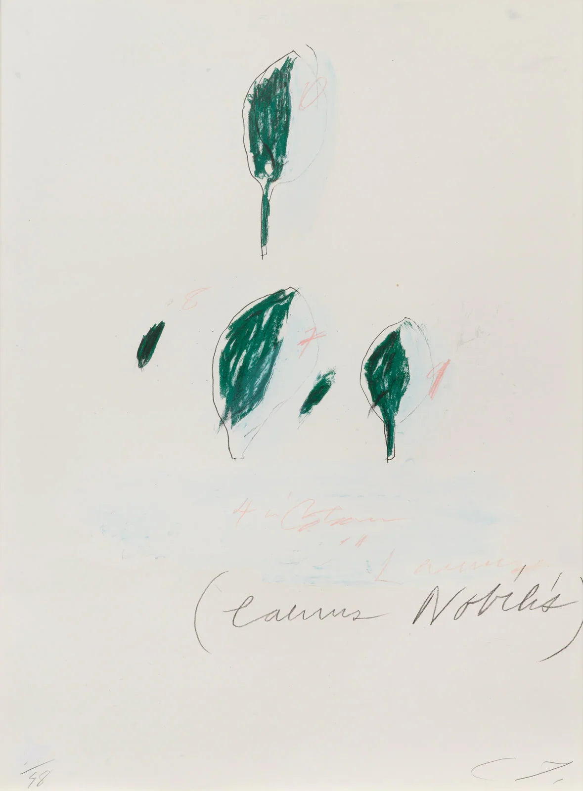 Laurus Nobilis, from Natural History Part II: Some Trees of Italy, 1976 by Cy Twombly