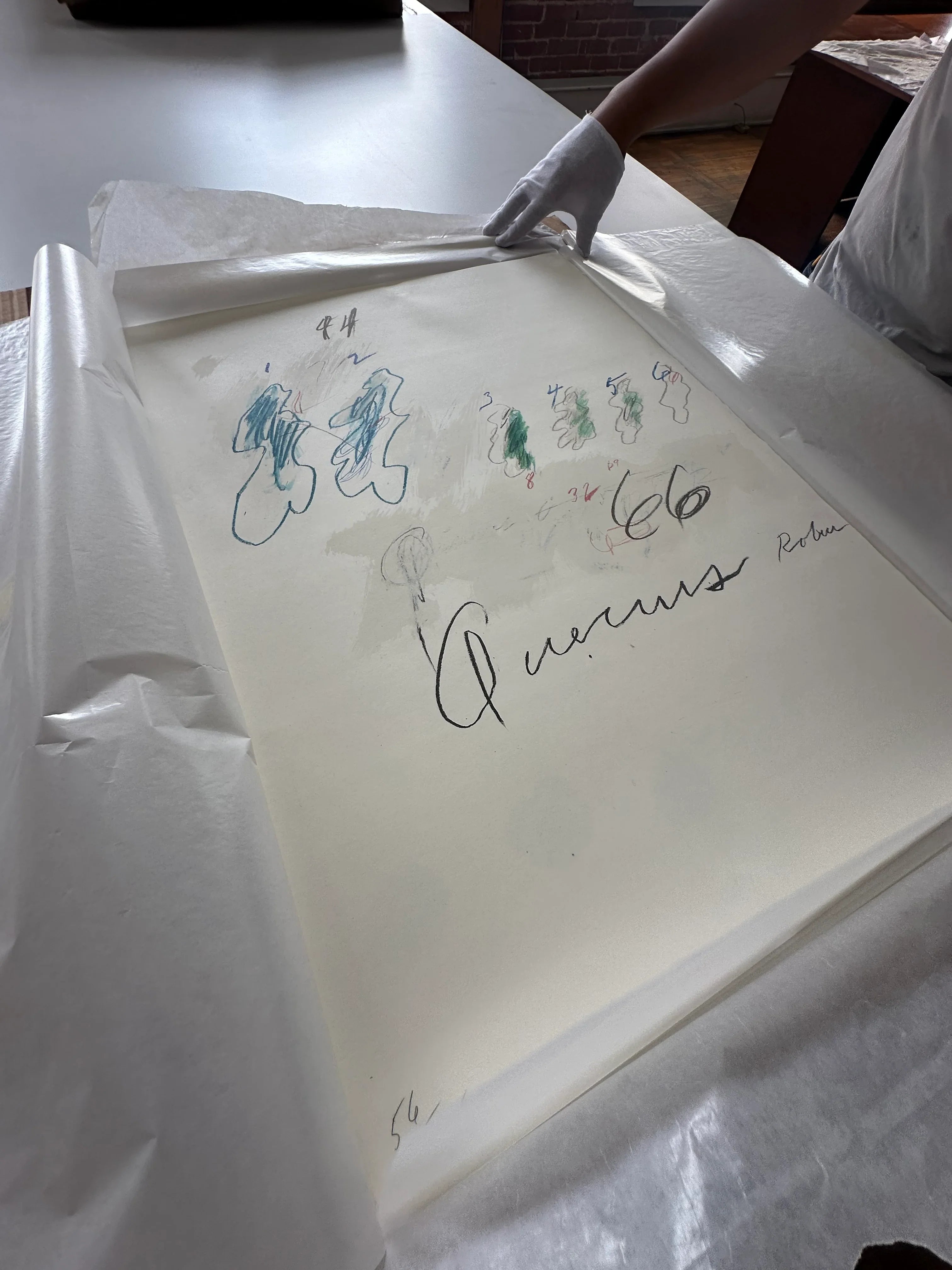 Quercus Robur, from Natural History Part II: Some Trees of Italy, 1976 by Cy Twombly