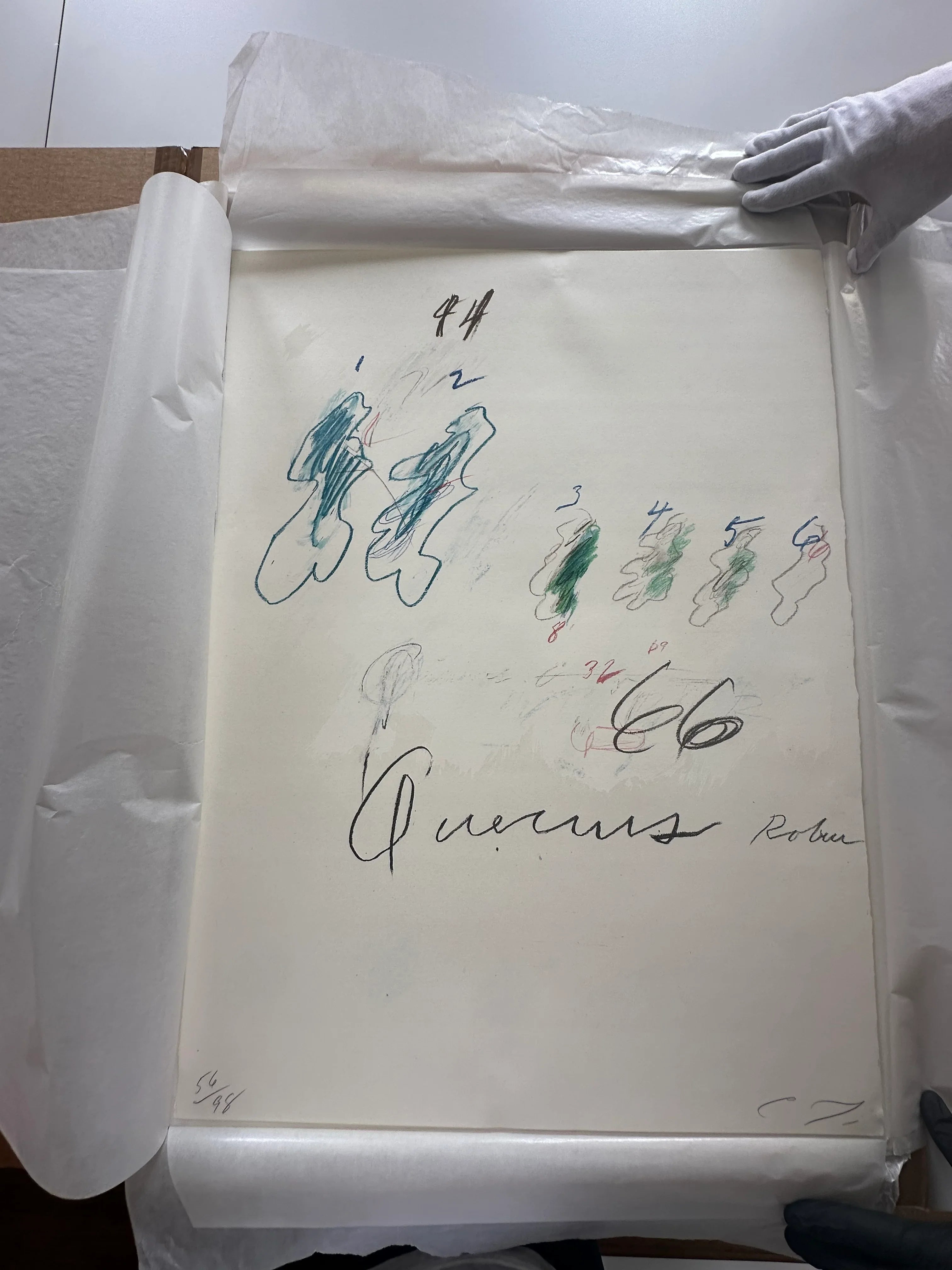 Quercus Robur, from Natural History Part II: Some Trees of Italy, 1976 by Cy Twombly