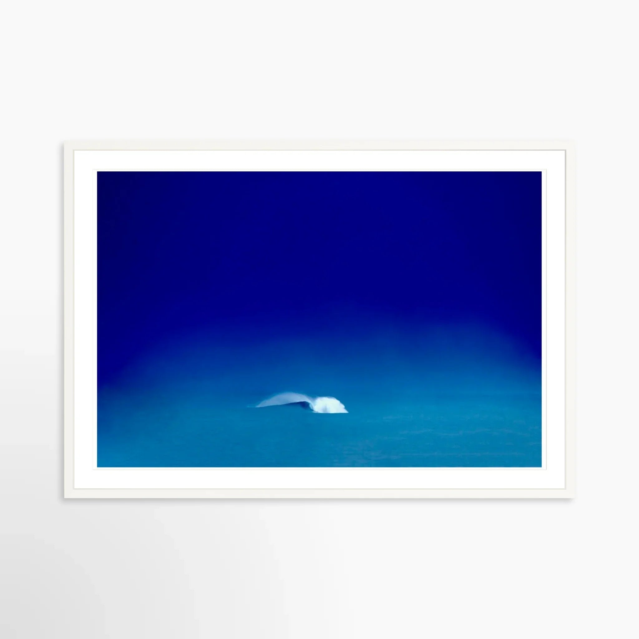 Out To Sea, 2019 by Petuna Phaladelp