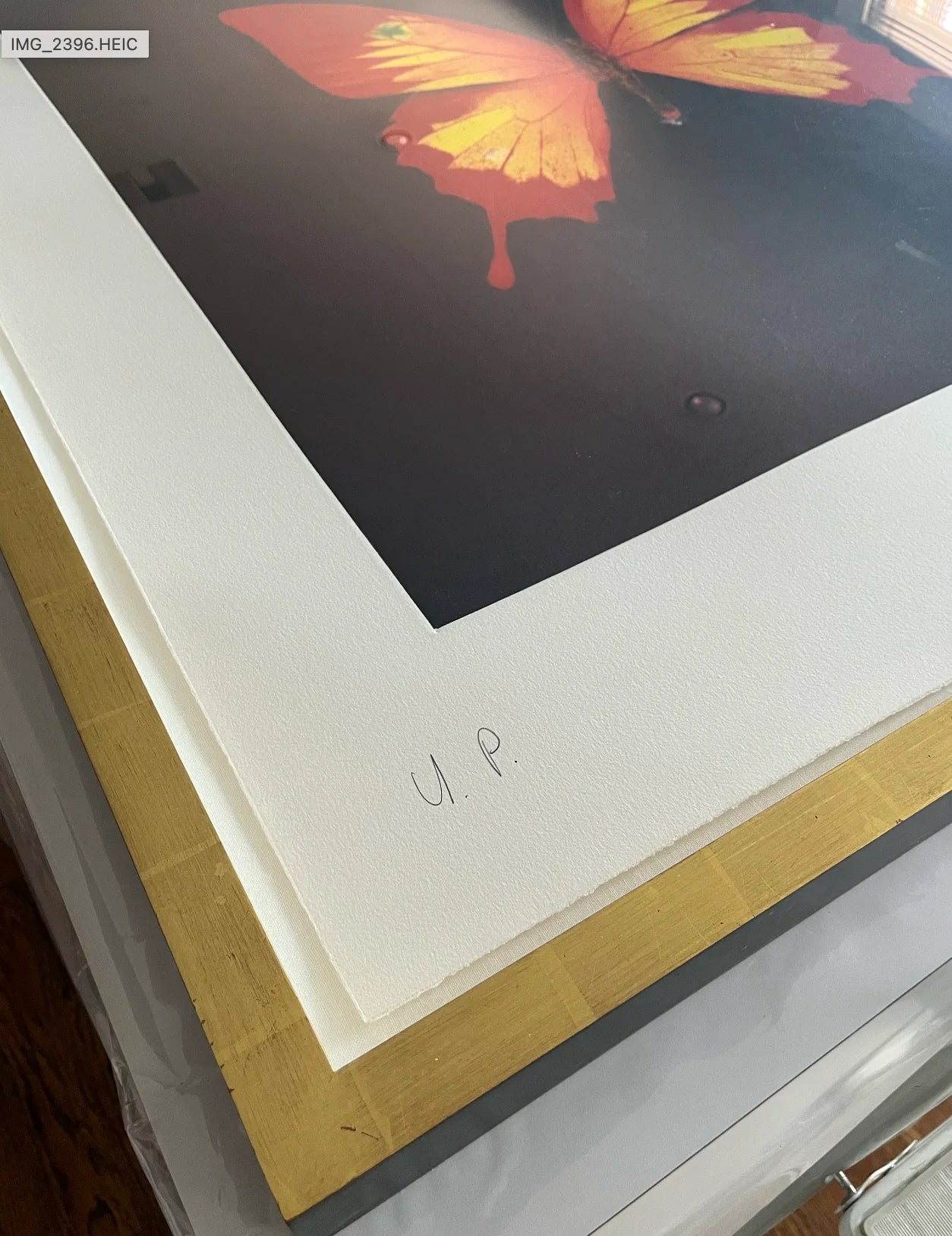 Red, Yellow Swallowtail and green spots (Unique Butterly Print), 2008 by Damien Hirst