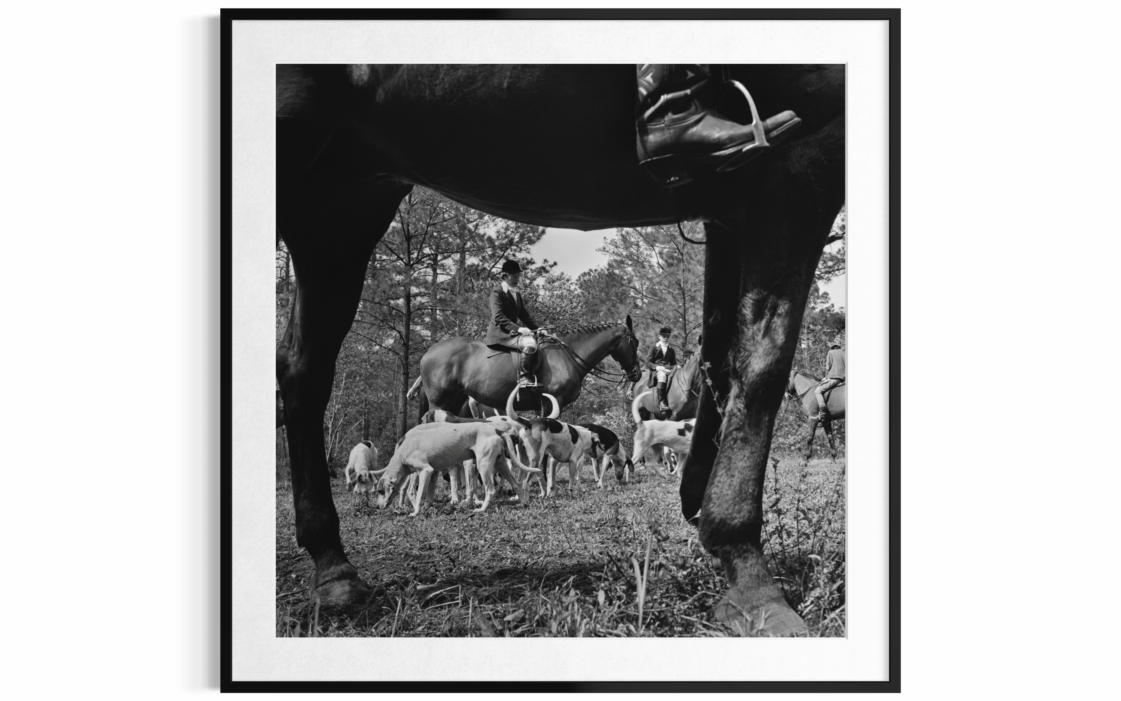 Fox Hunt (Palm Beach), 1955 by Slim Aarons