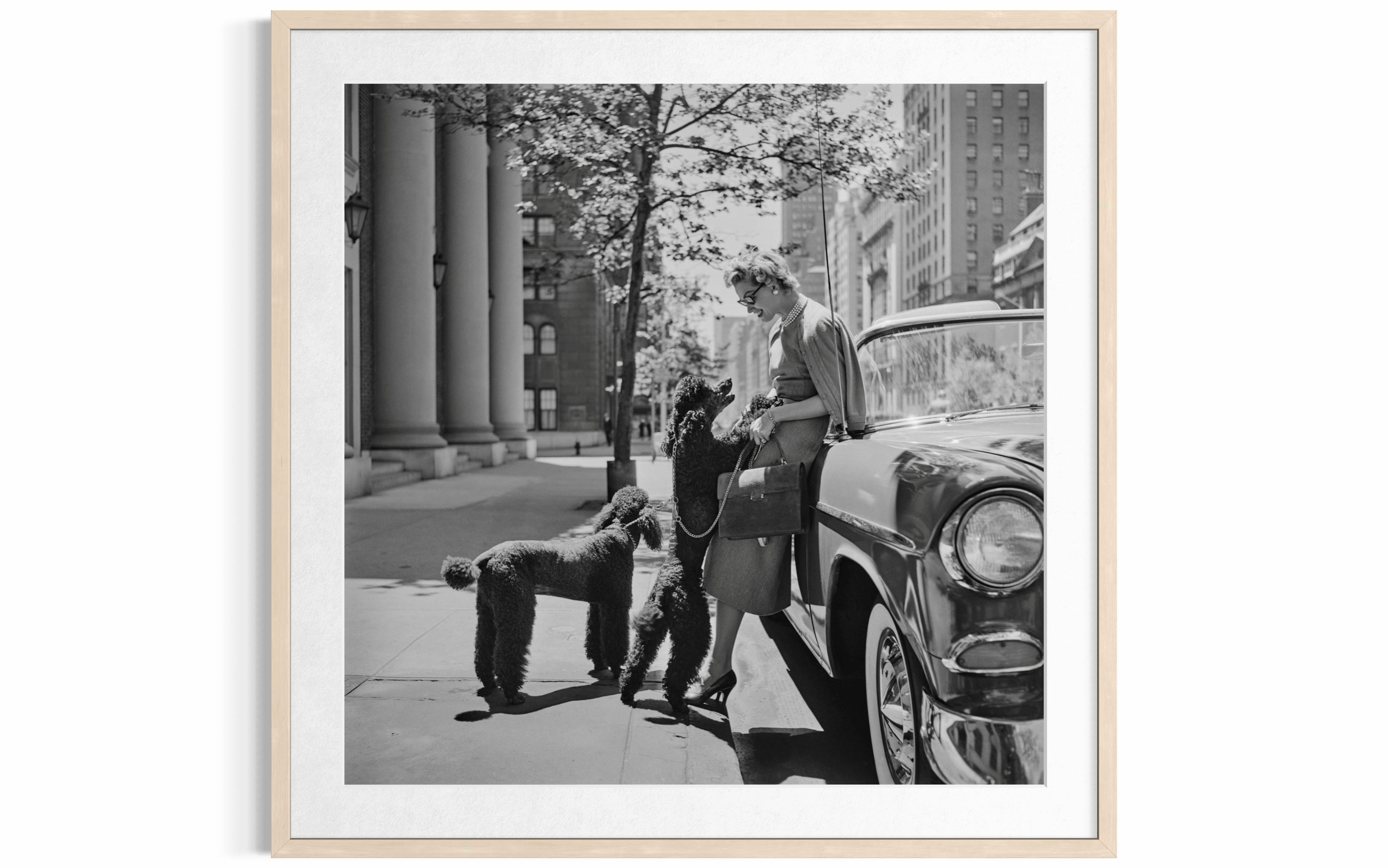Inga Lindgren And Poodles, 1956 by Slim Aarons