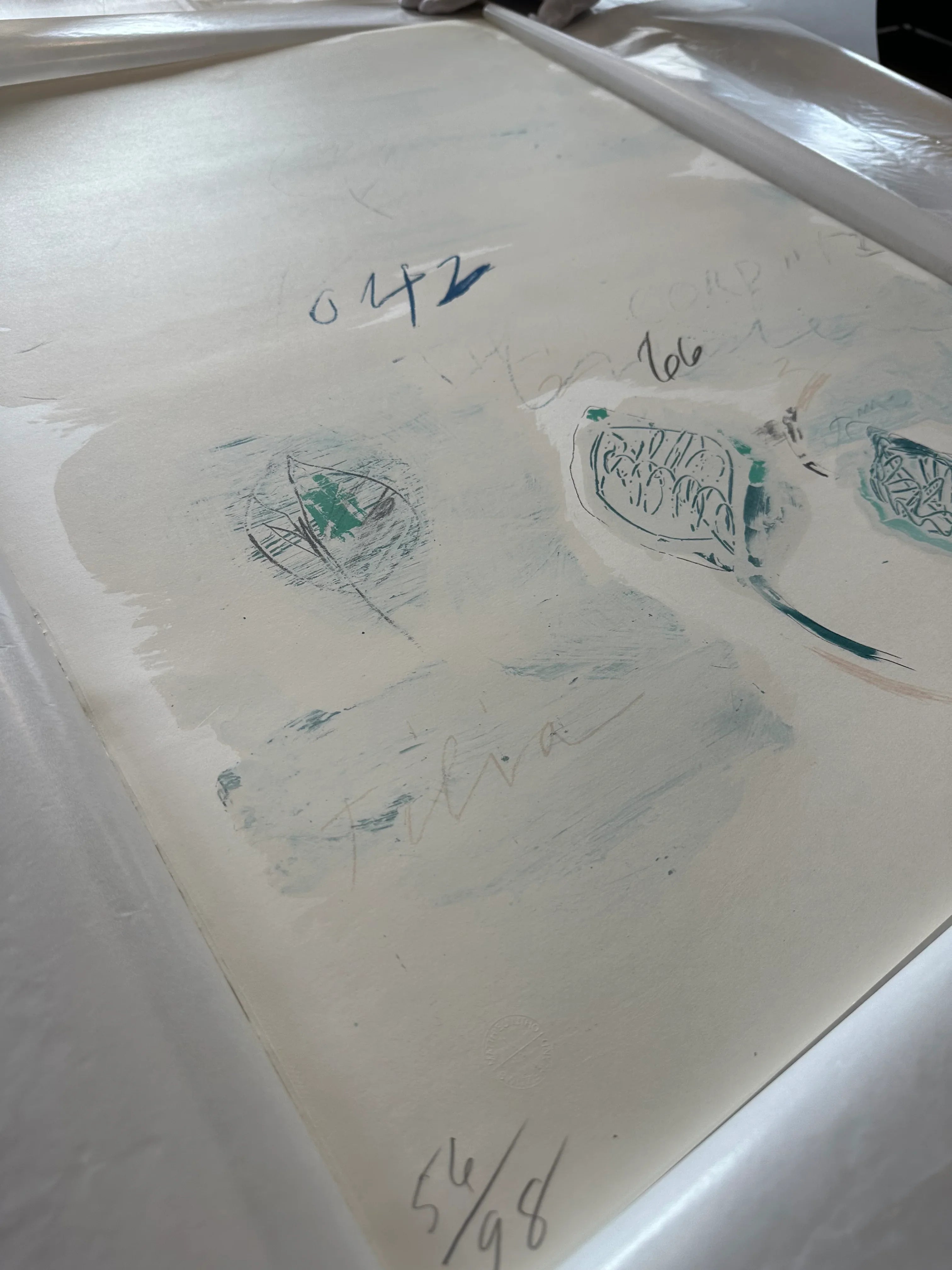 Tilia Cordata, from Natural History Part II: Some Trees of Italy, 1976 by Cy Twombly