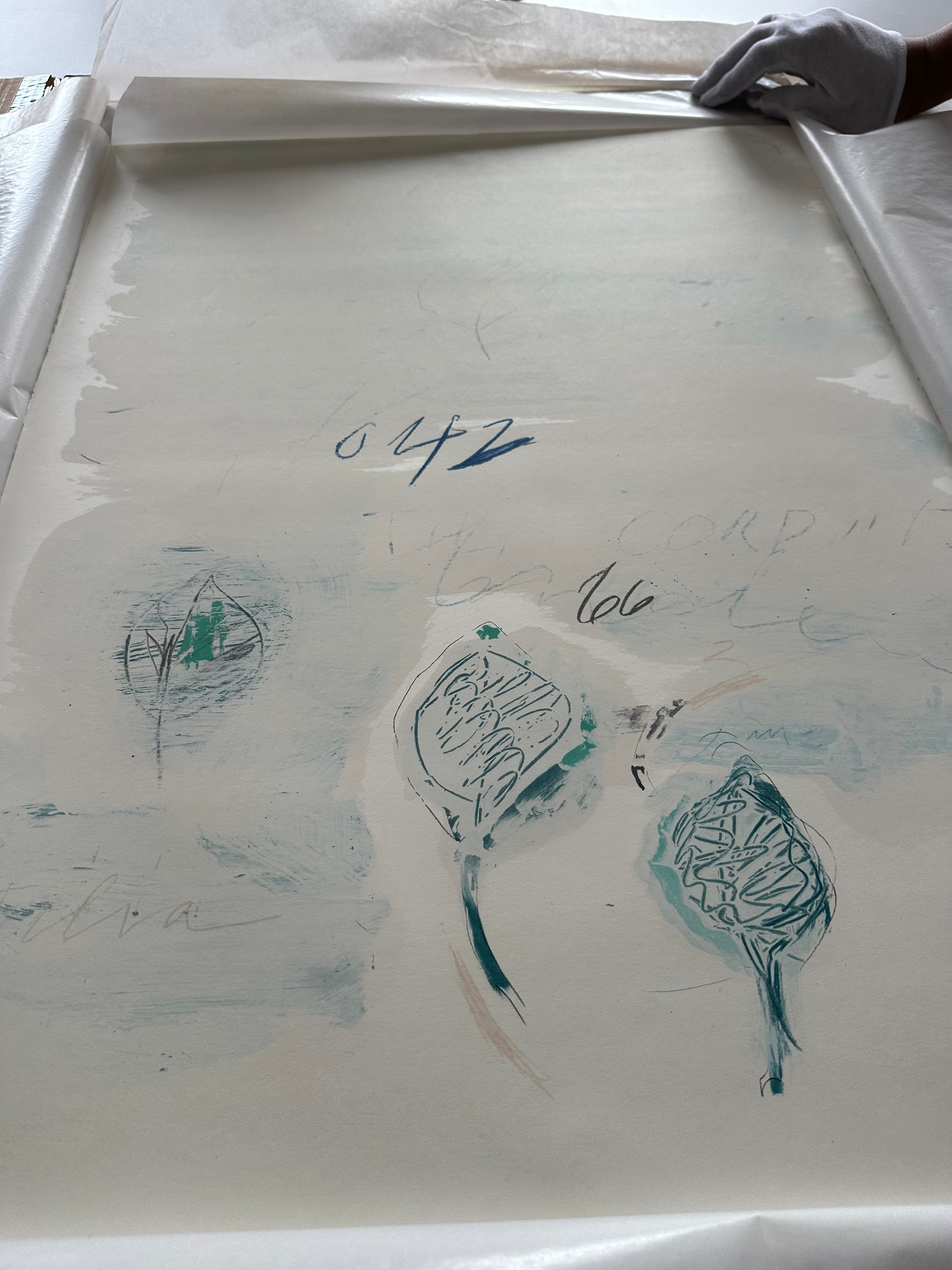 Tilia Cordata, from Natural History Part II: Some Trees of Italy, 1976 by Cy Twombly