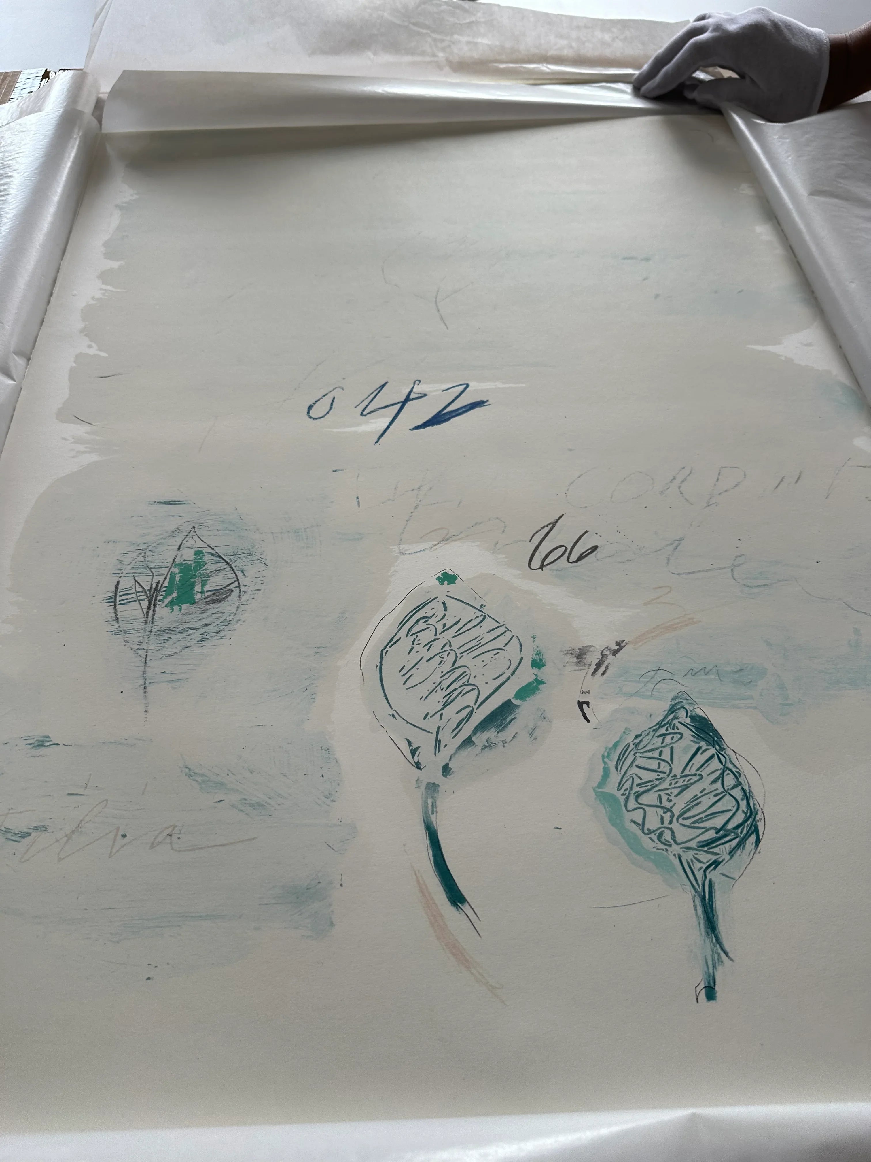 Tilia Cordata, from Natural History Part II: Some Trees of Italy, 1976 by Cy Twombly