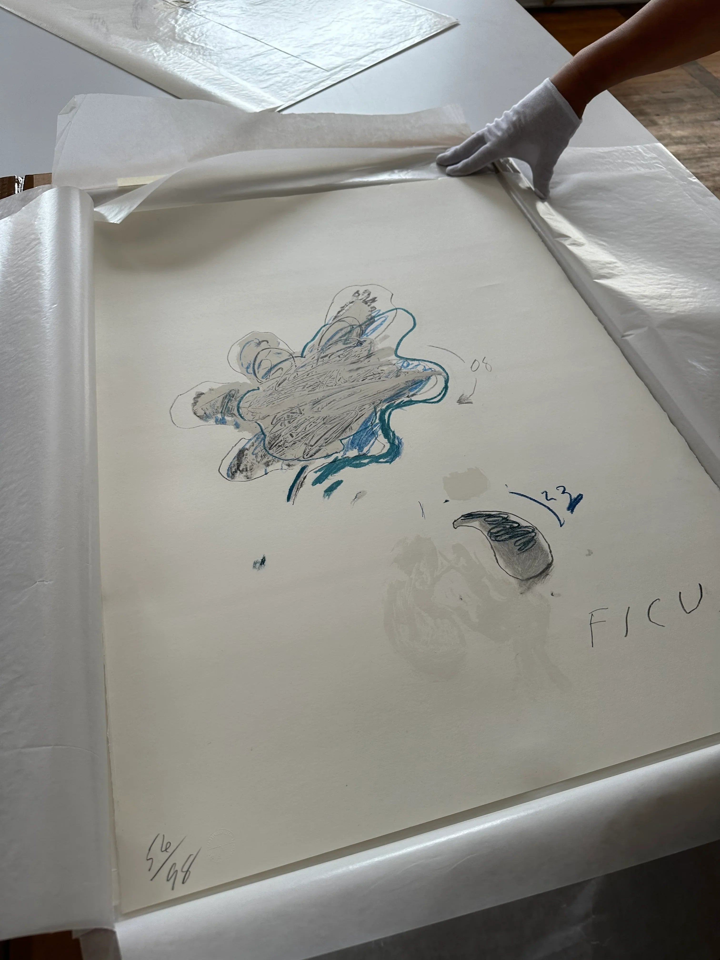 Ficus Carica, from Natural History Part II: Some Trees of Italy, 1976 by Cy Twombly