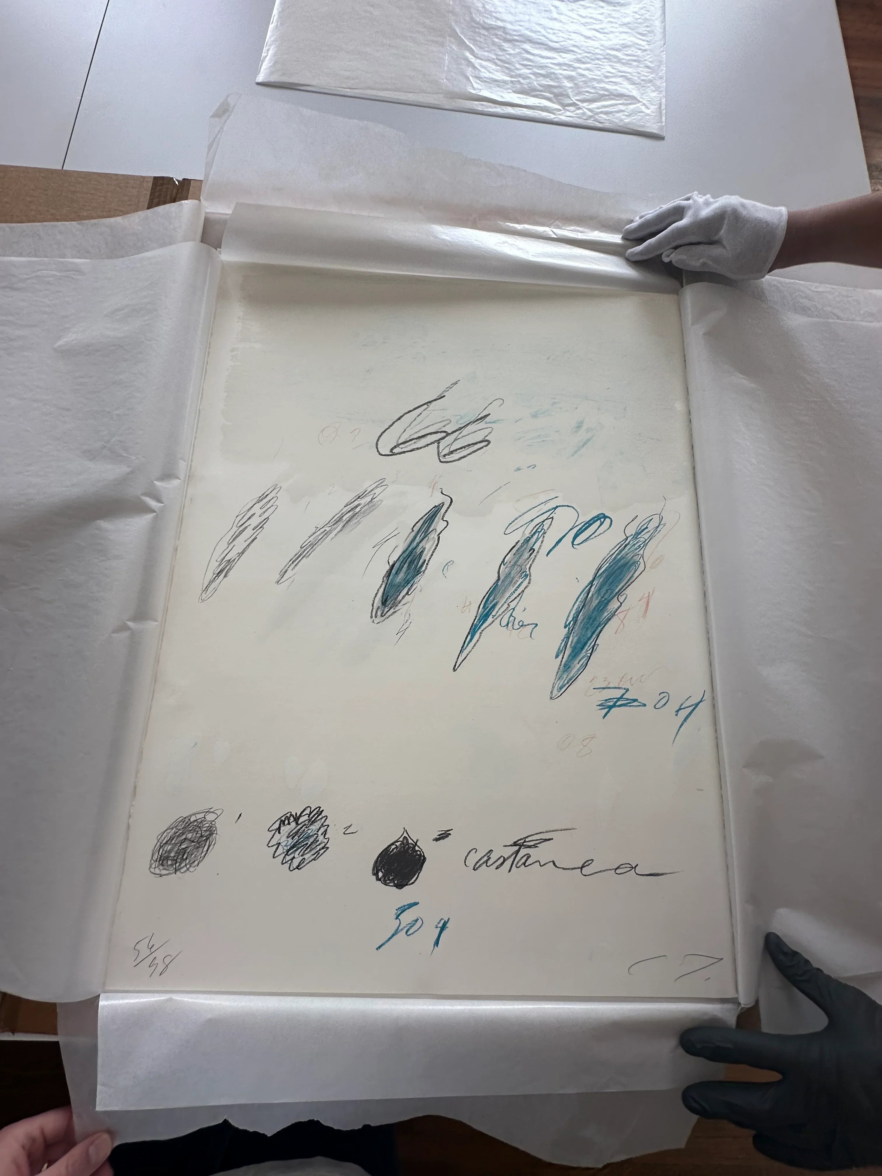 Castanea Sativa, from Natural History Part II: Some Trees of Italy, 1976 by Cy Twombly