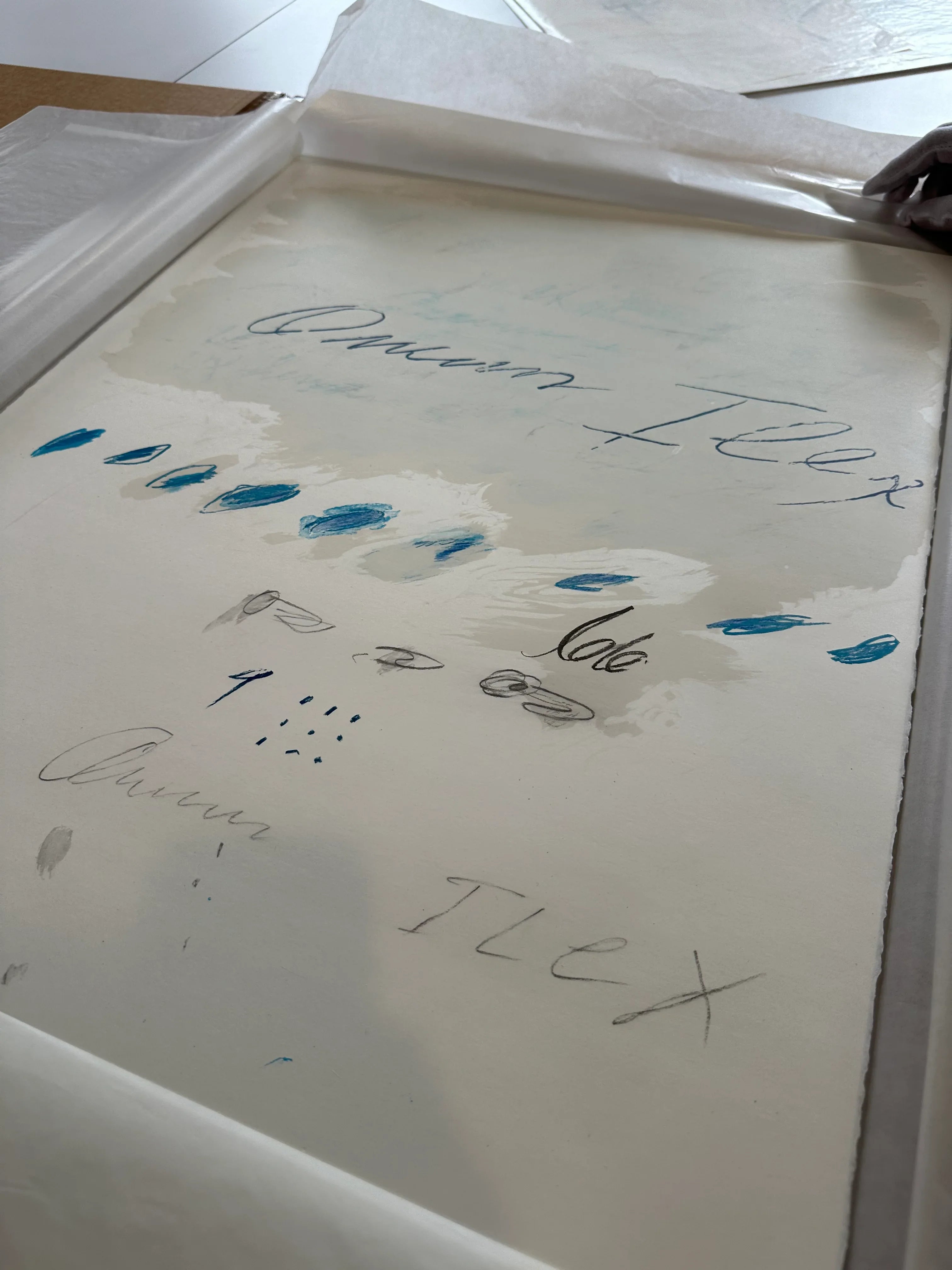 Quercus Ilex, from Natural History Part II: Some Trees of Italy, 1976 by Cy Twombly