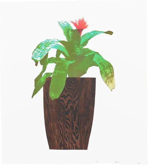 Three Landscape Pots: Bromeliad, 2019 by Jonas Wood