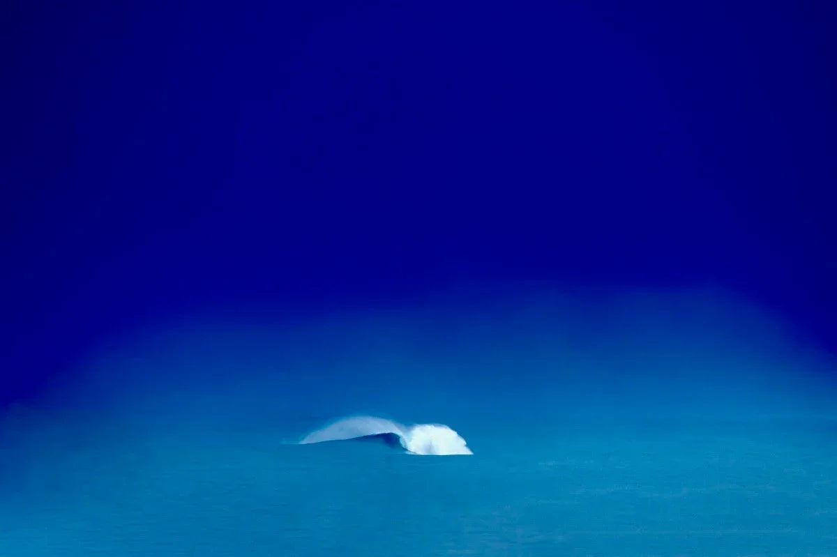 Out To Sea, 2019 by Petuna Phaladelp