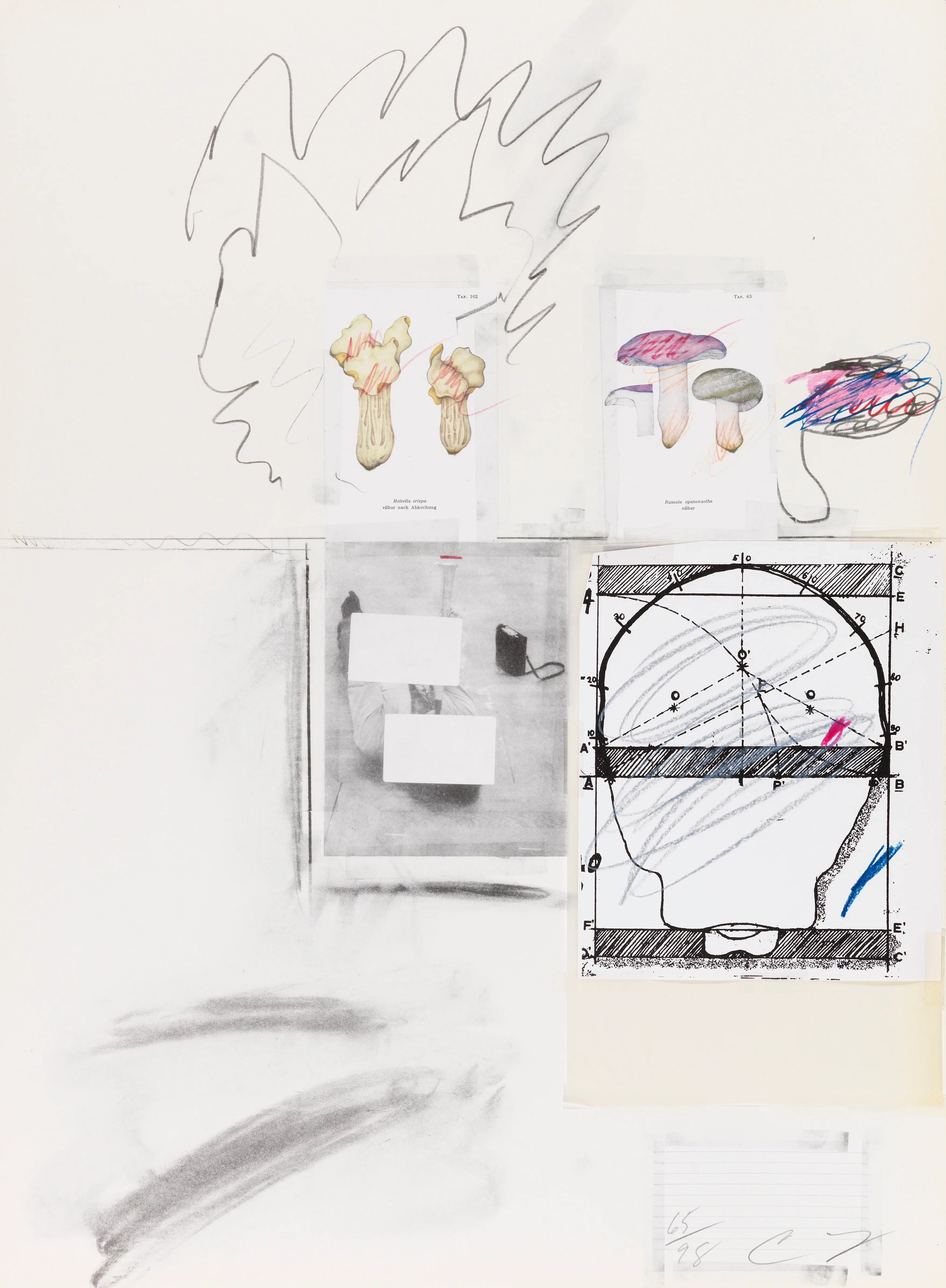 Plate II, from Natural History Part I: Mushrooms, 1974 by Cy Twombly