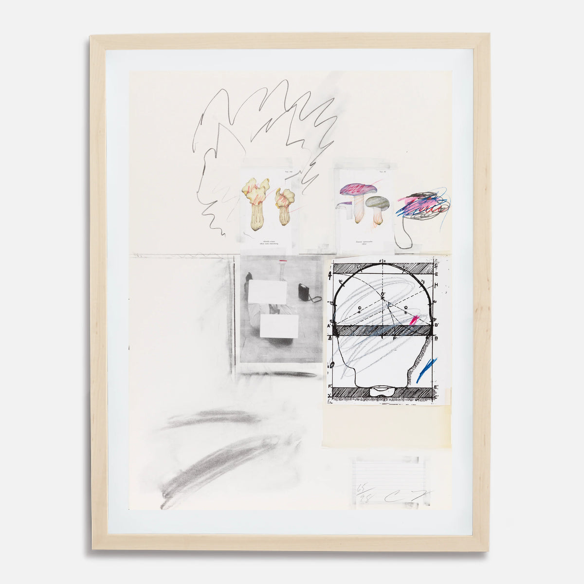Plate II, from Natural History Part I: Mushrooms, 1974 by Cy Twombly