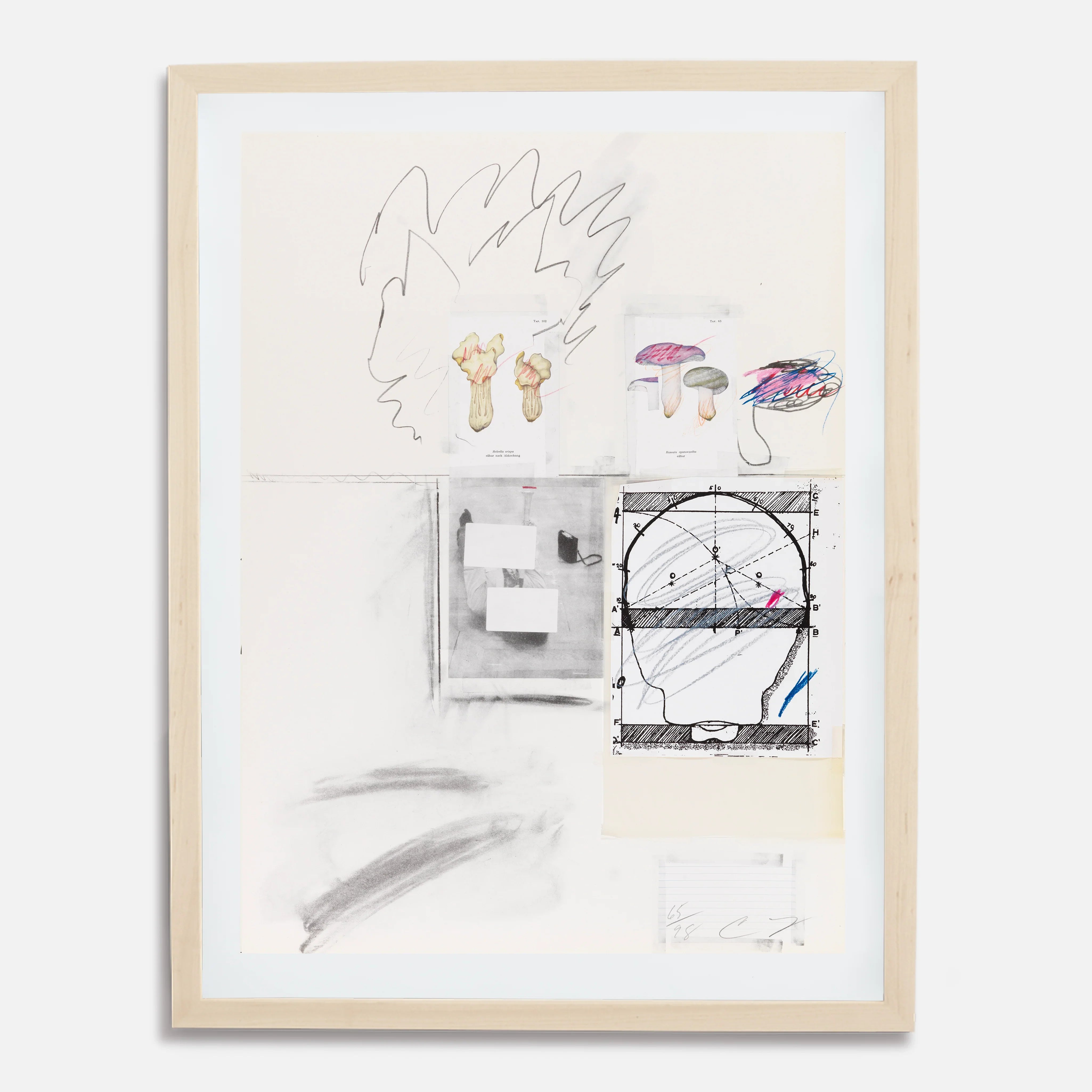 Plate II, from Natural History Part I: Mushrooms, 1974 by Cy Twombly