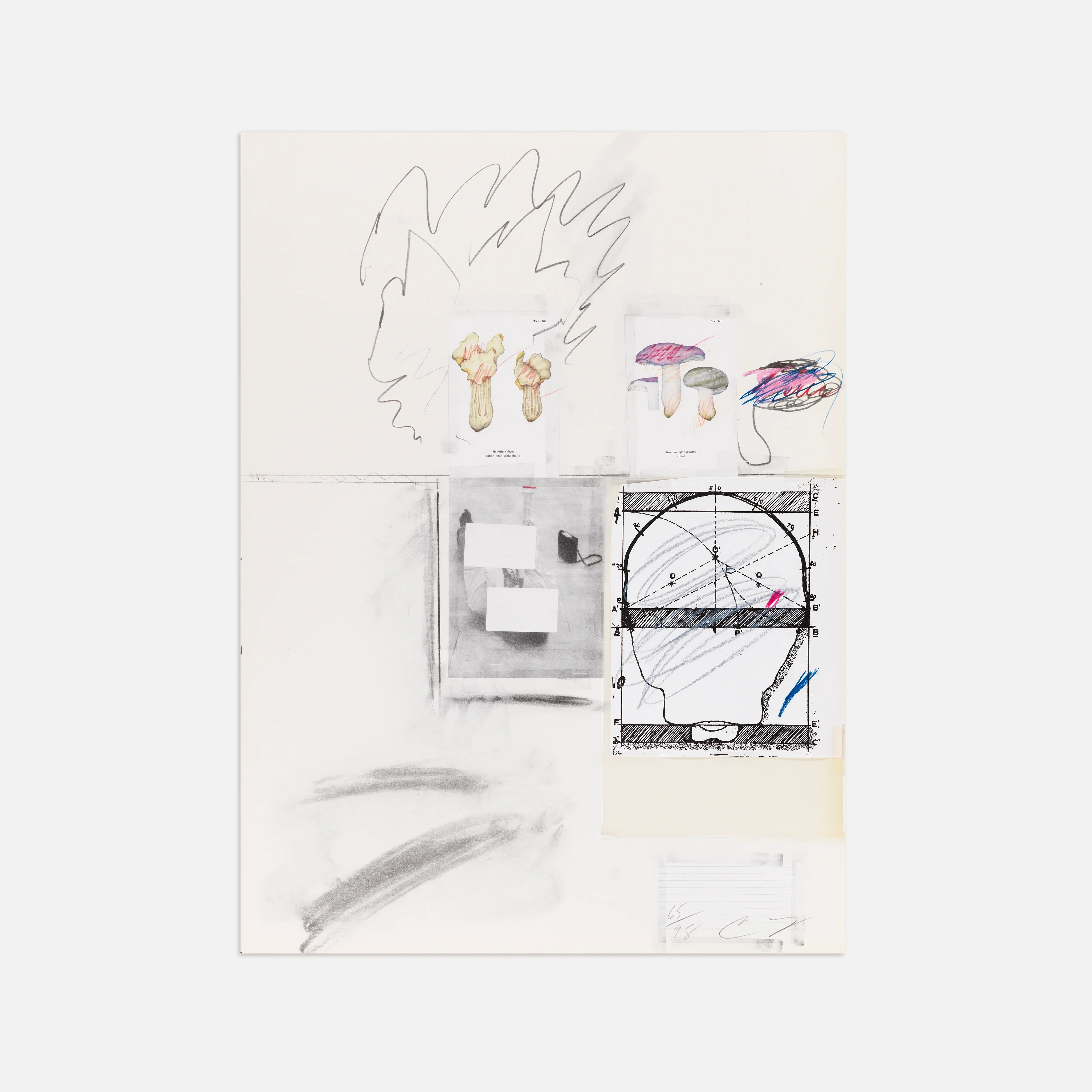 Plate II, from Natural History Part I: Mushrooms, 1974 by Cy Twombly