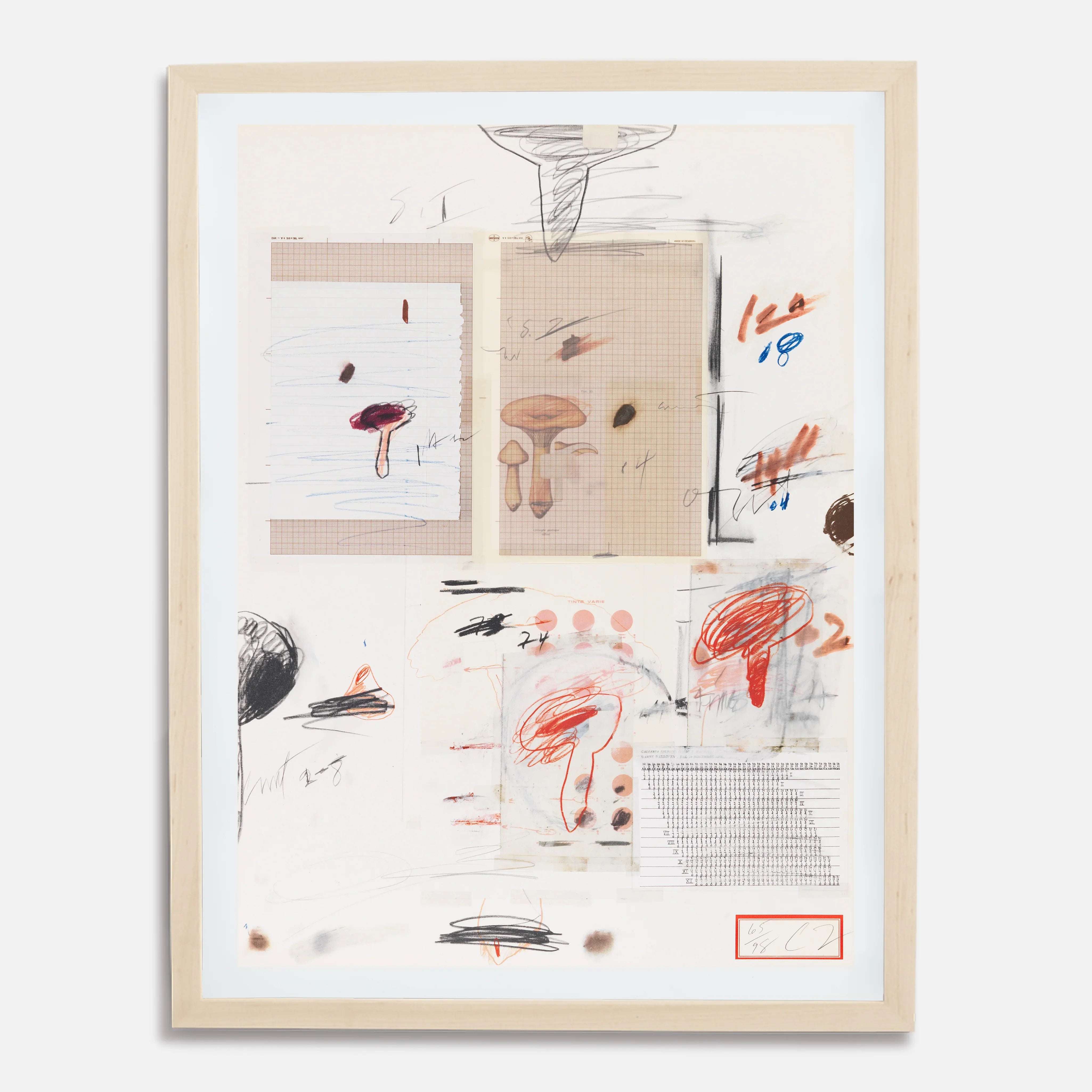 Plate IV, from Natural History Part I: Mushrooms, 1974 by Cy Twombly