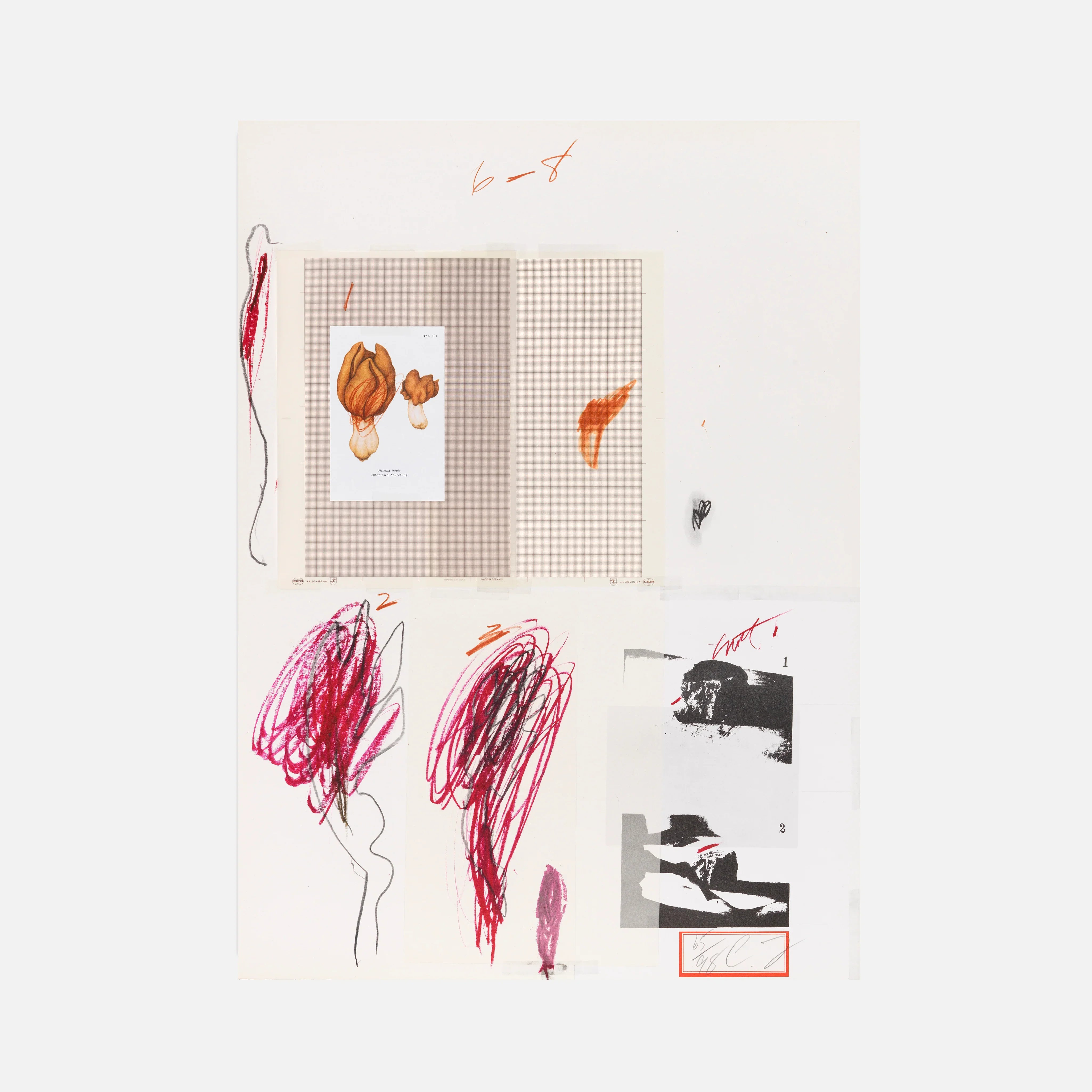 Plate IX, from Natural History Part I: Mushrooms, 1974 by Cy Twombly