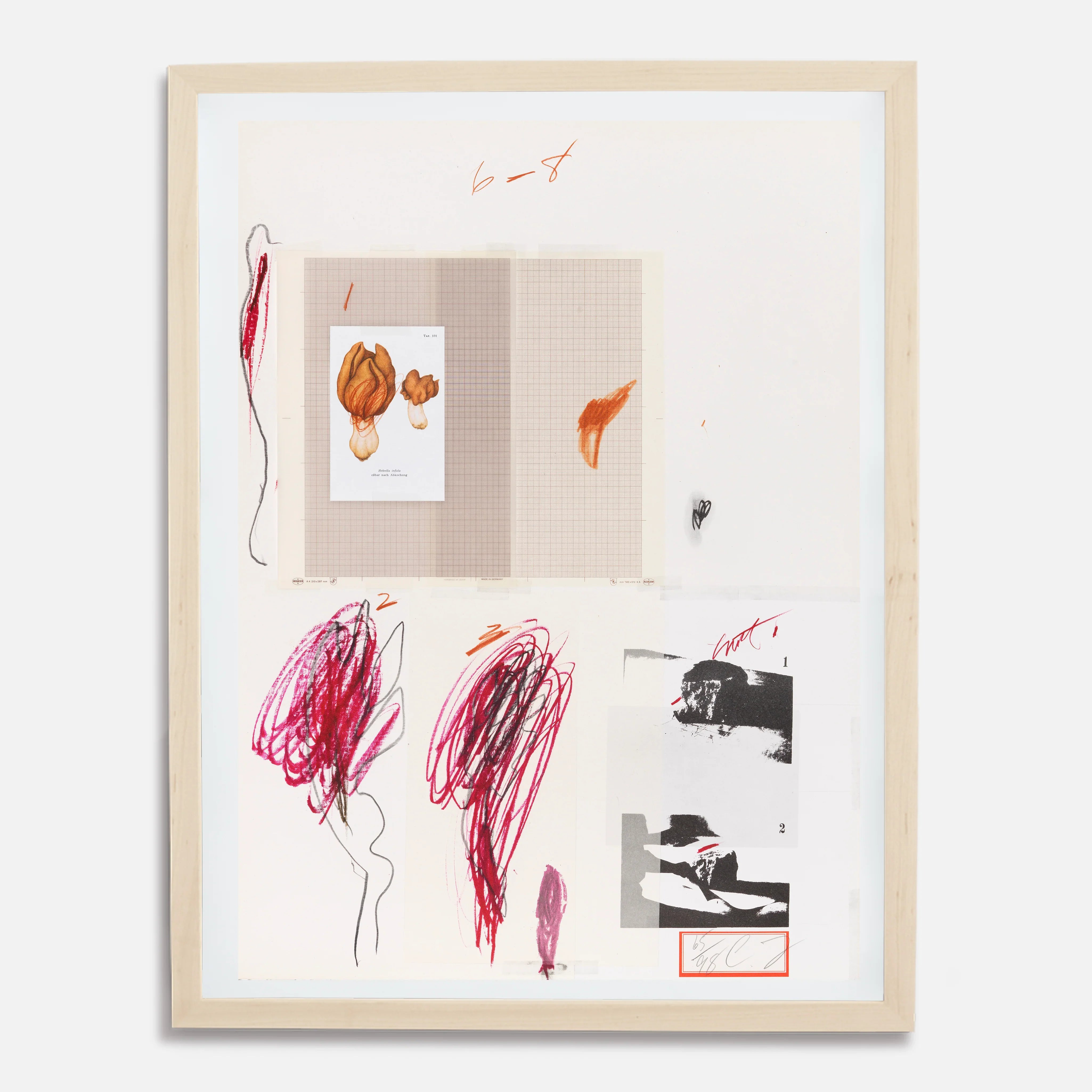 Plate IX, from Natural History Part I: Mushrooms, 1974 by Cy Twombly