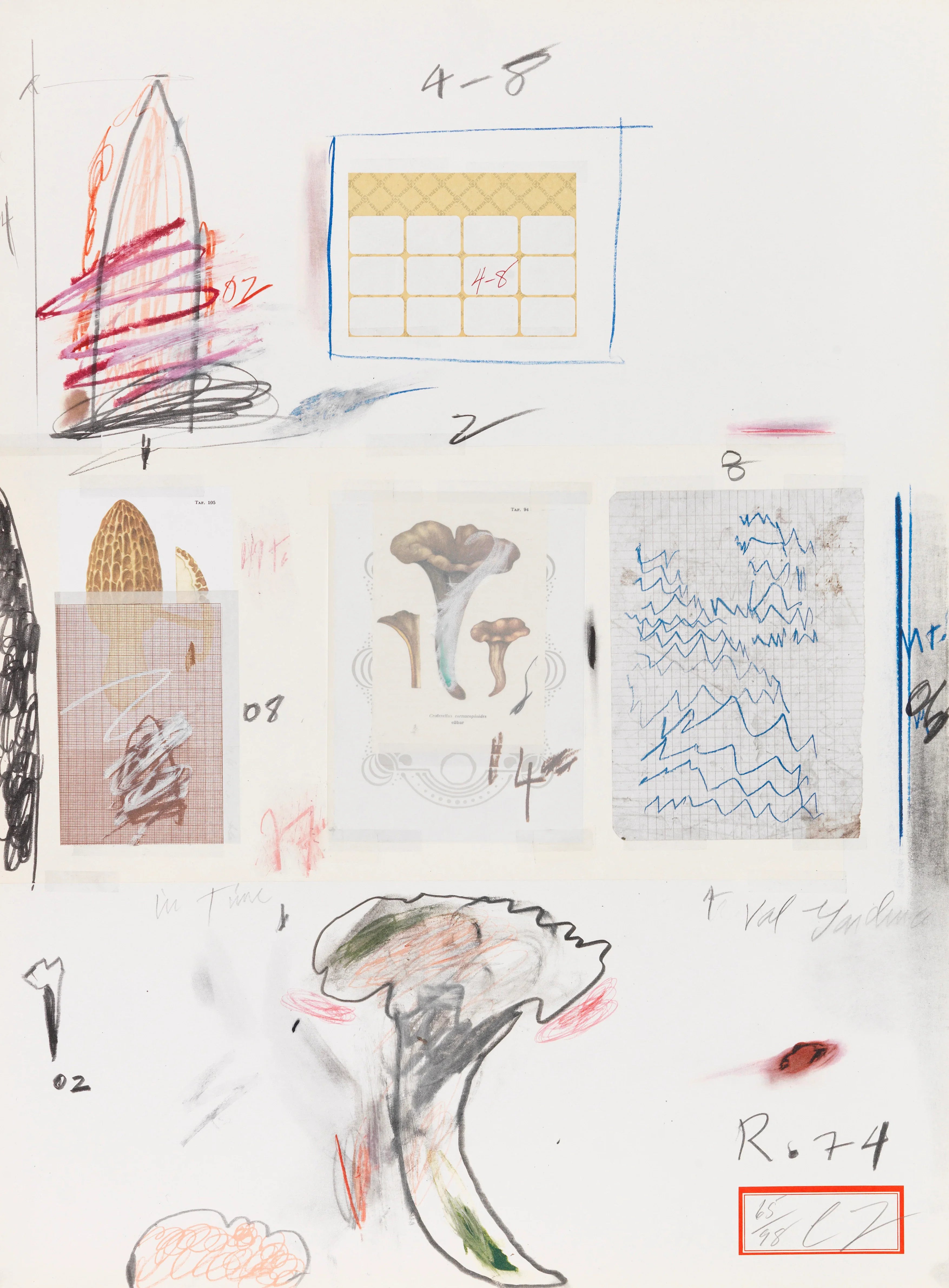 Plate VI, from Natural History Part I: Mushrooms, 1974 by Cy Twombly