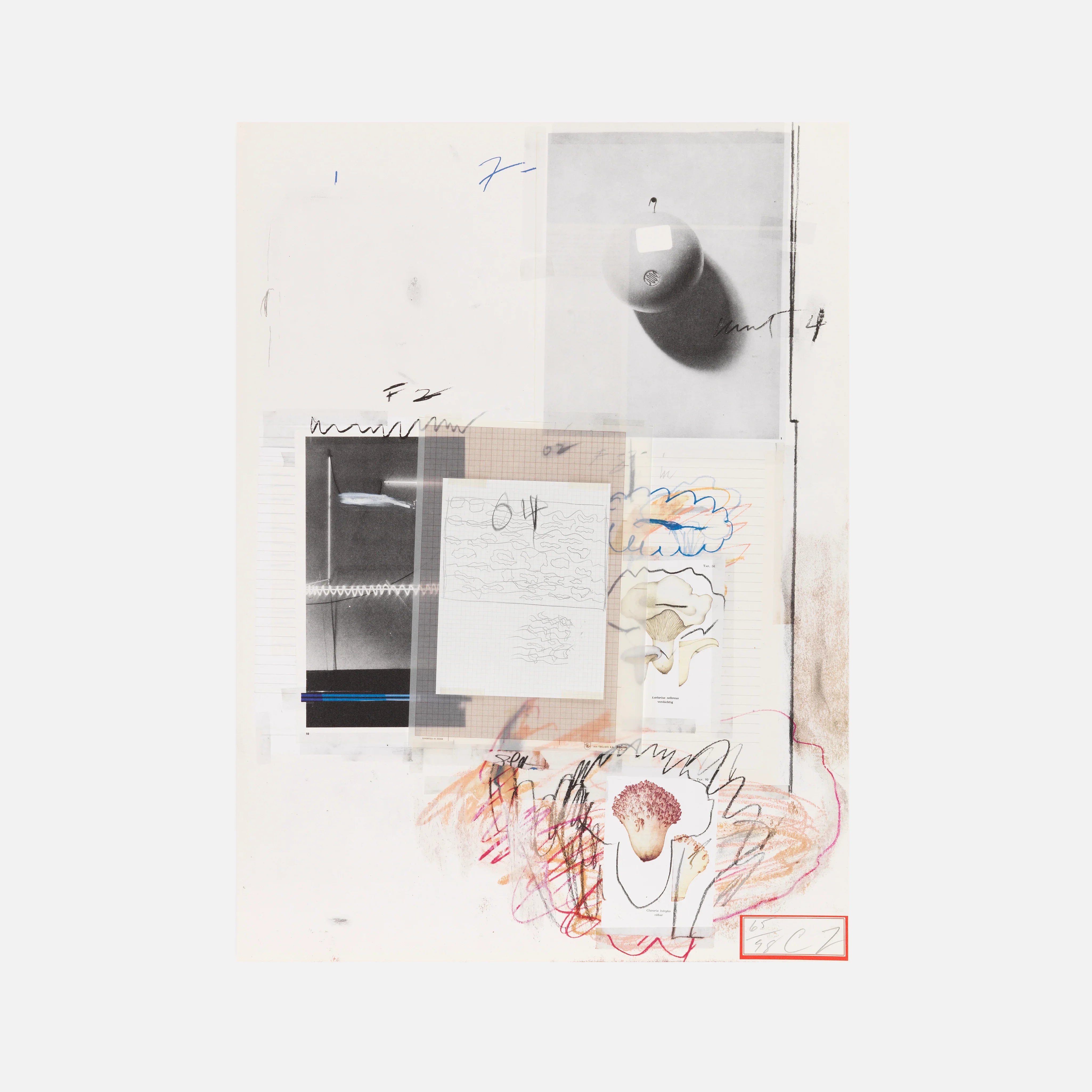 Plate VIII, from Natural History Part I: Mushrooms, 1974 by Cy Twombly