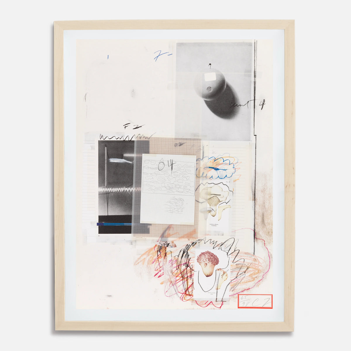 Plate VIII, from Natural History Part I: Mushrooms, 1974 by Cy Twombly