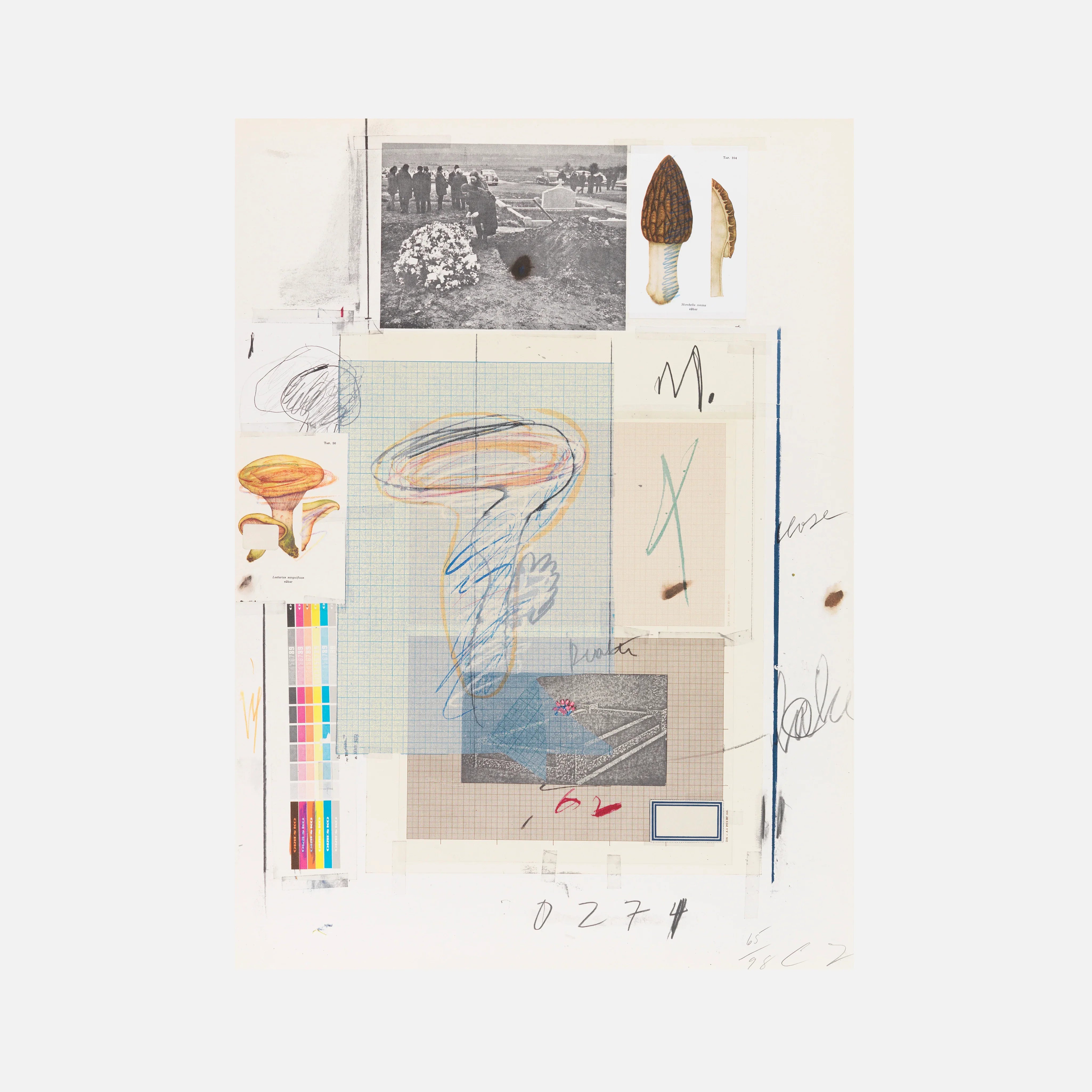 Plate VII, from Natural History Part I: Mushrooms, 1974 by Cy Twombly