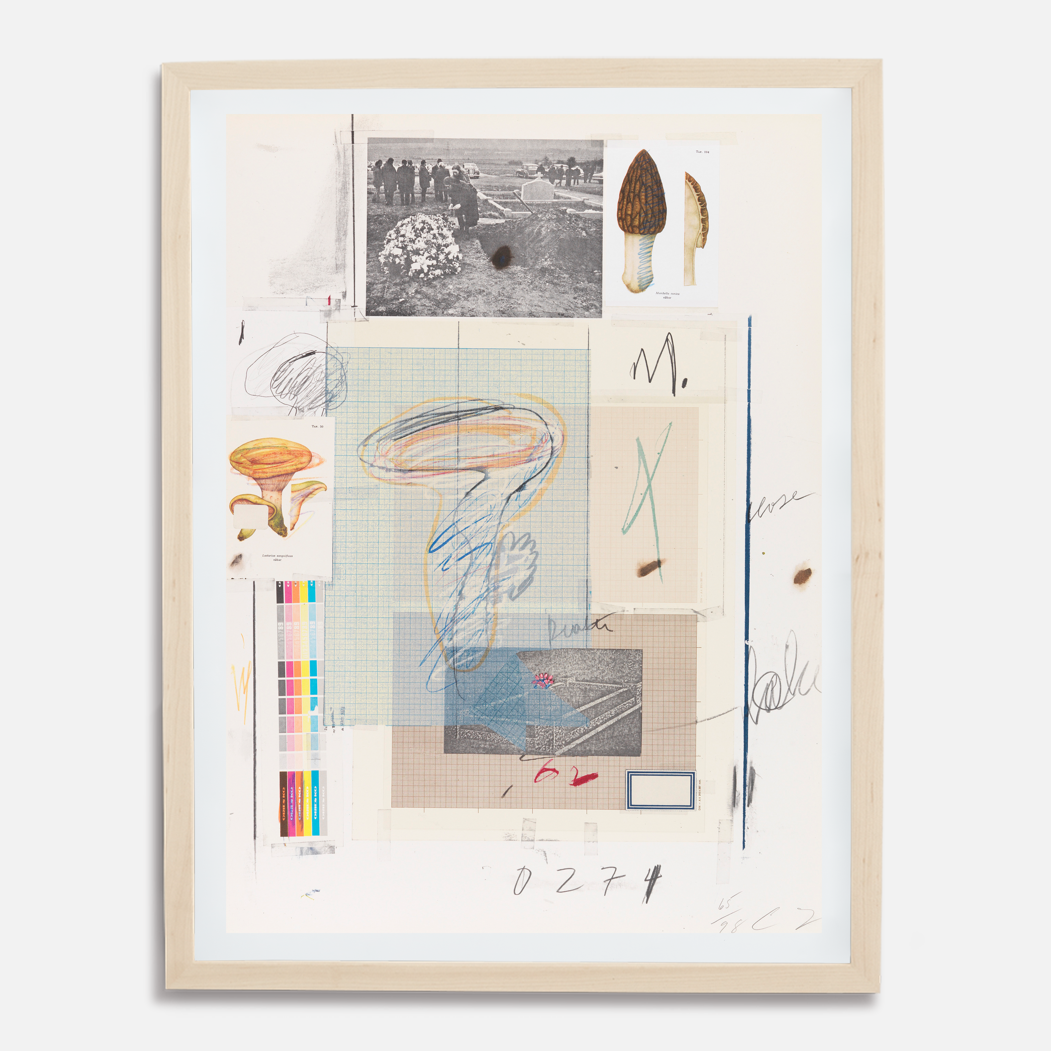 Plate VIII, from Natural History Part I: Mushrooms, 1974 by Cy Twombly