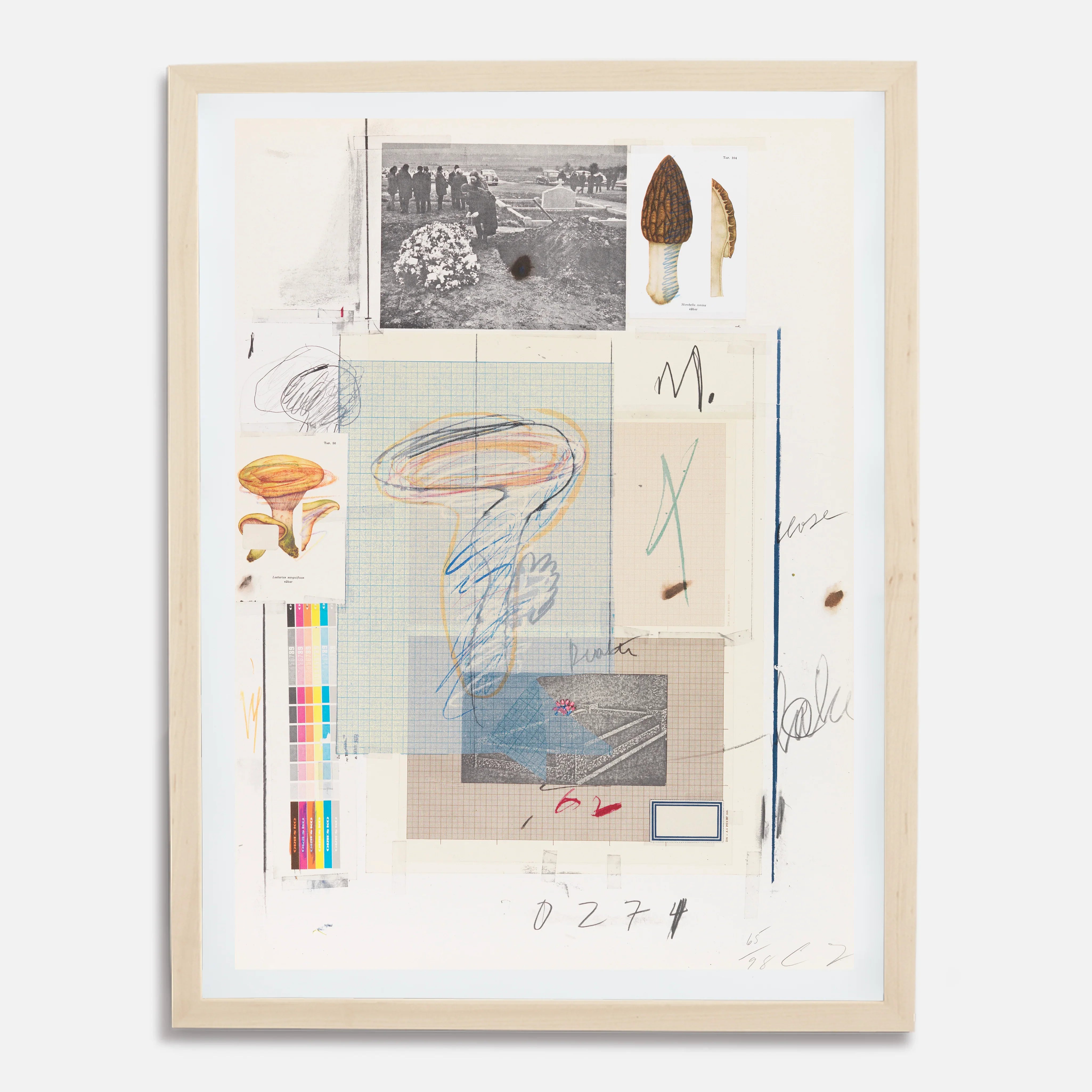 Plate VII, from Natural History Part I: Mushrooms, 1974 by Cy Twombly