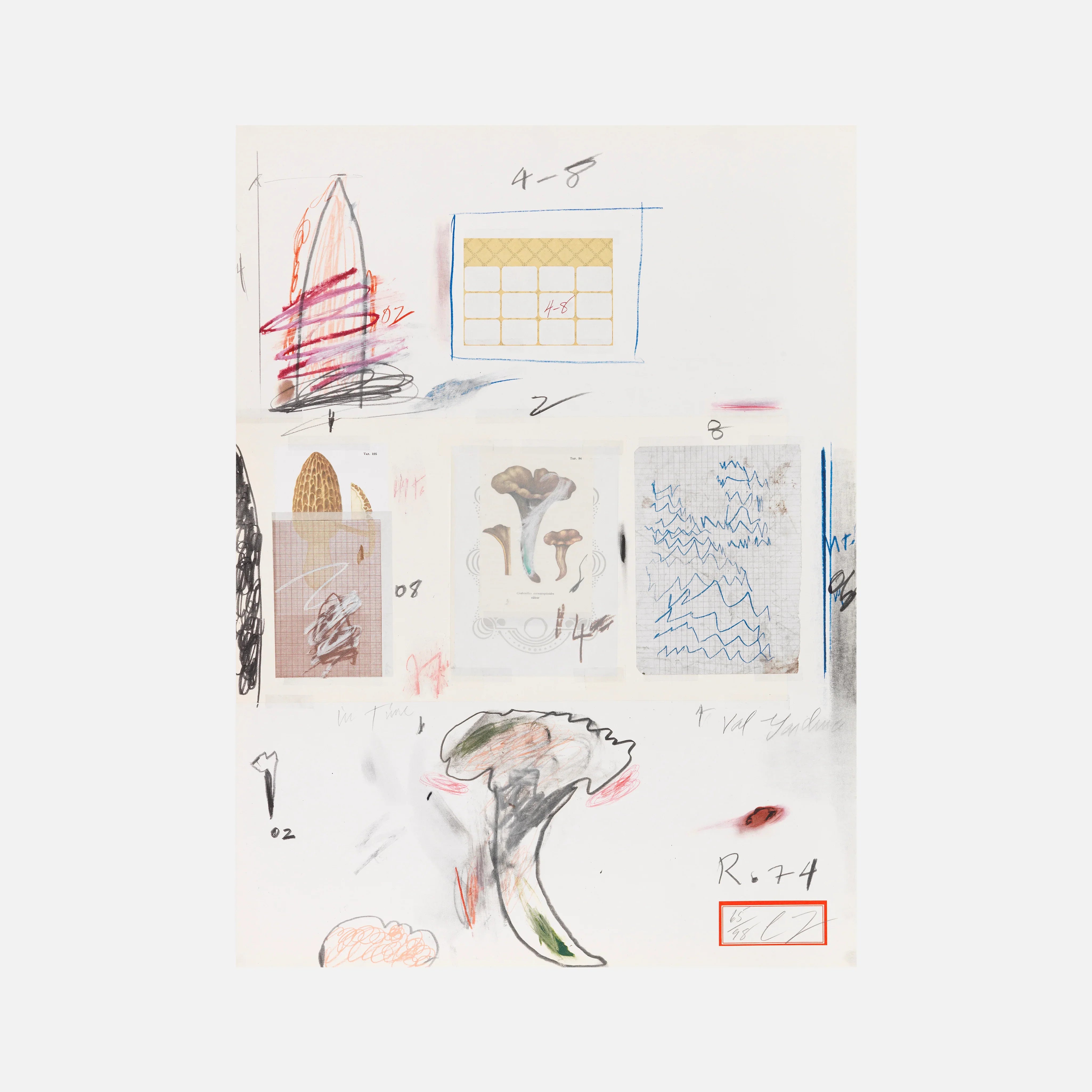 Plate VI, from Natural History Part I: Mushrooms, 1974 by Cy Twombly