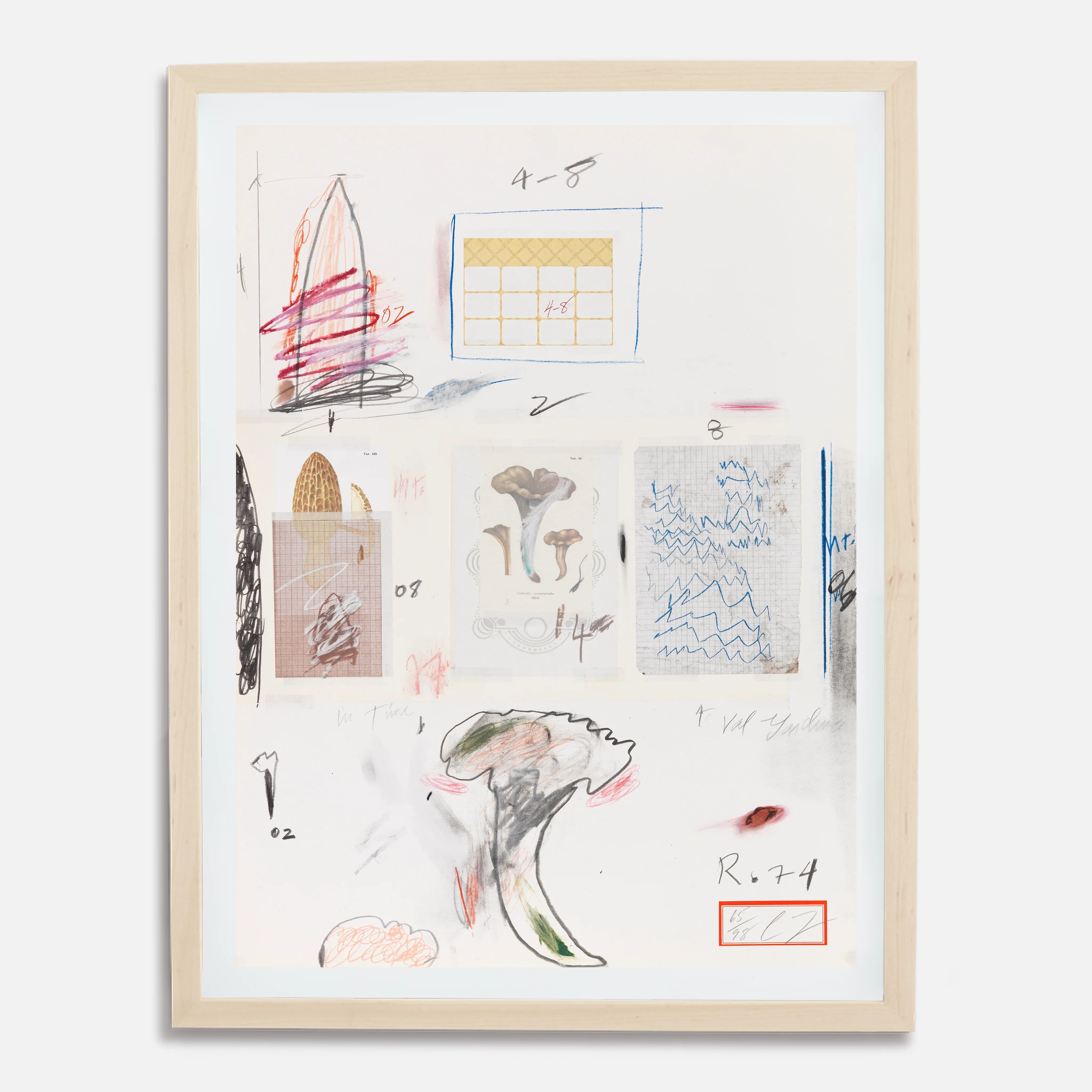 Plate VI, from Natural History Part I: Mushrooms, 1974 by Cy Twombly