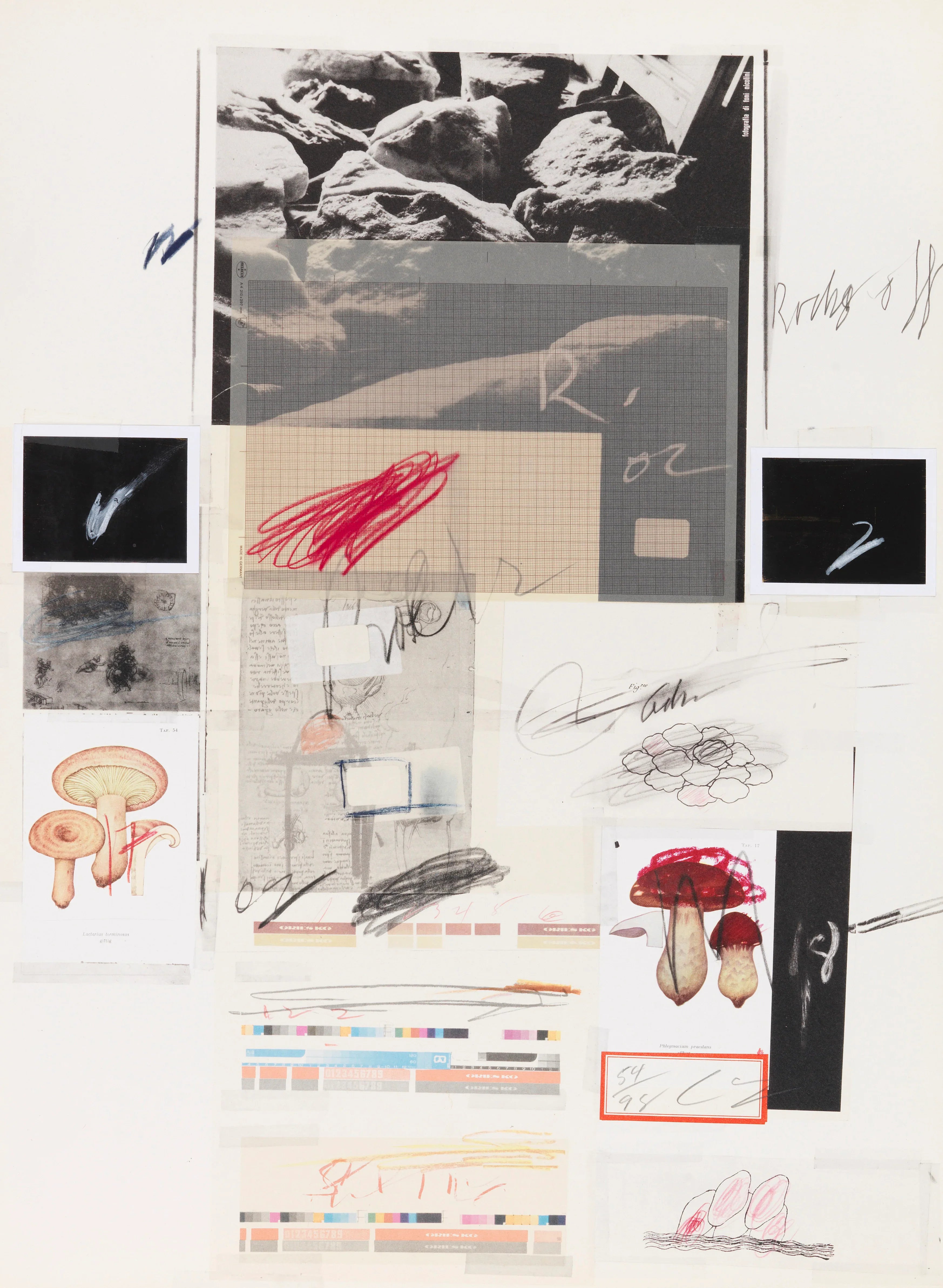 Plate X, from Natural History Part I: Mushrooms, 1974 by Cy Twombly