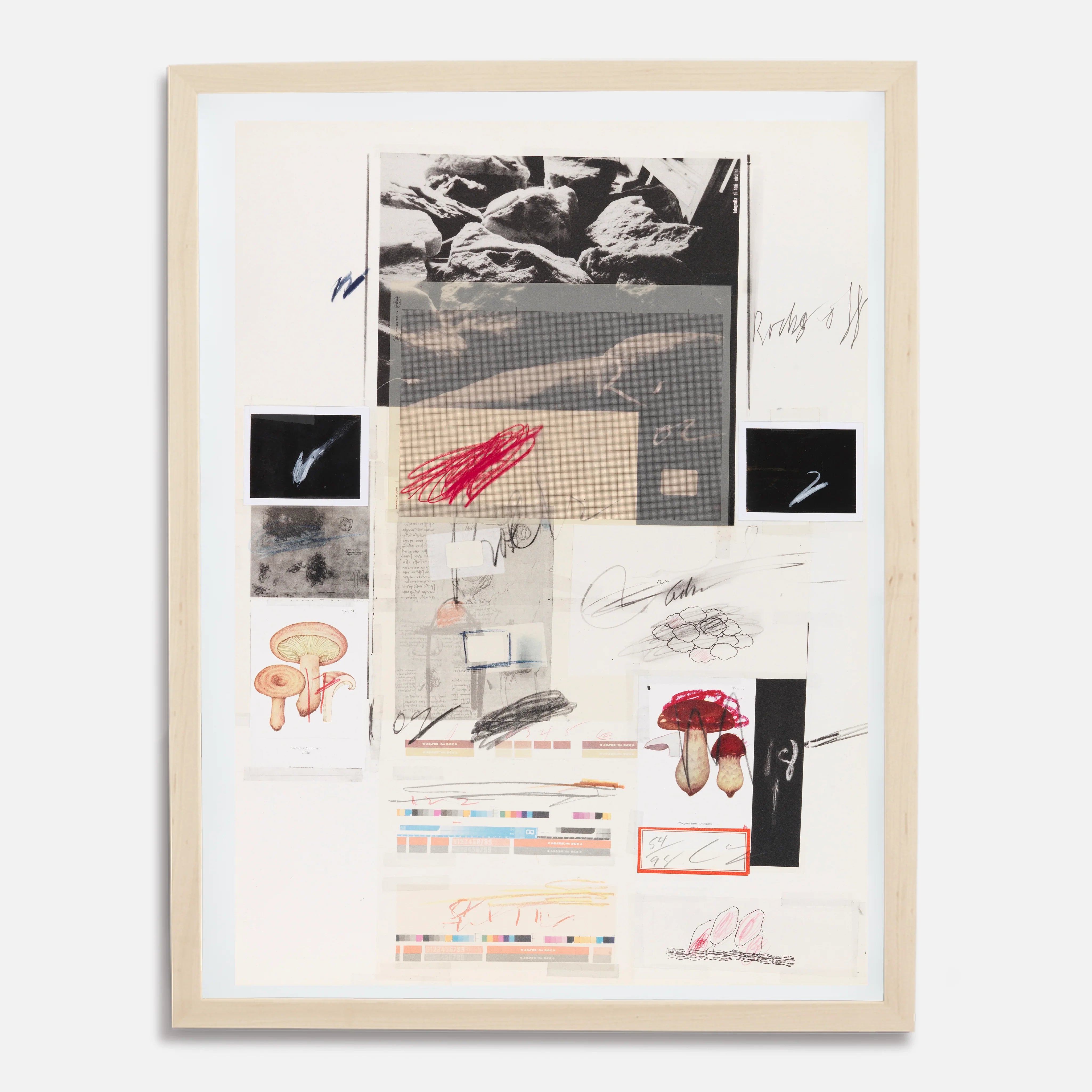 Plate X, from Natural History Part I: Mushrooms, 1974 by Cy Twombly